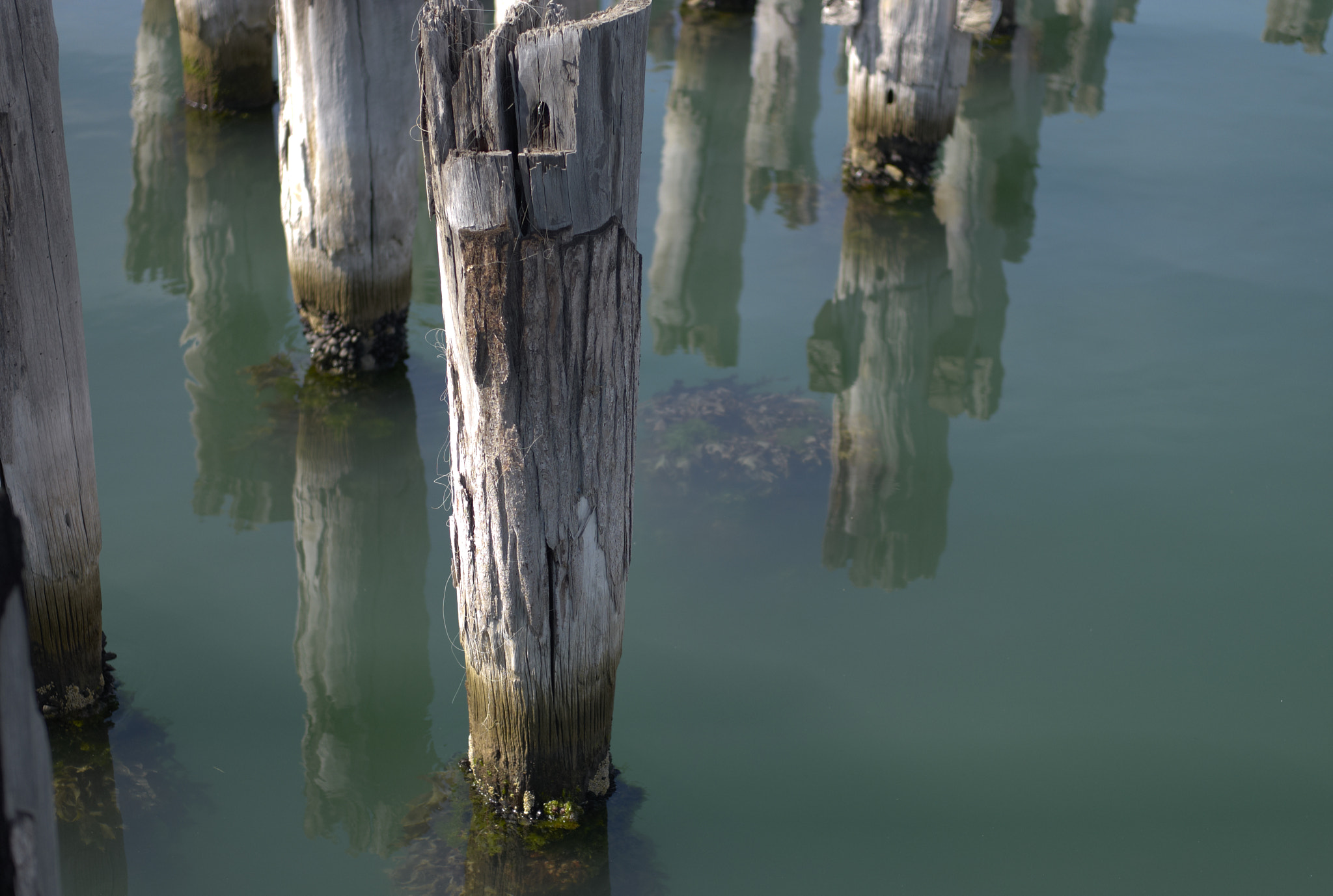 Leica M8 sample photo. Still photography