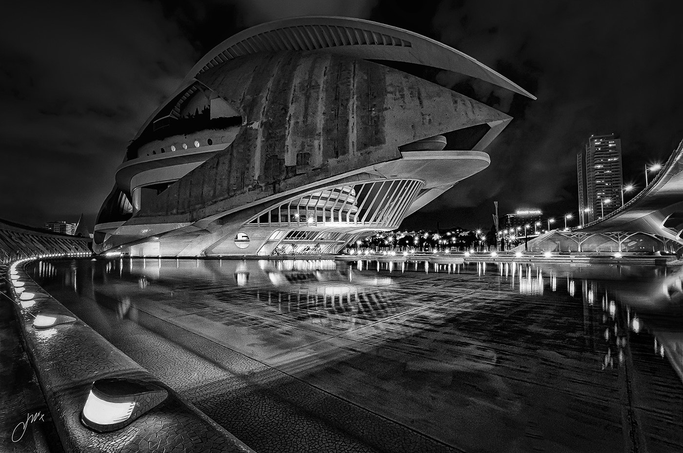 Sigma 8-16mm F4.5-5.6 DC HSM sample photo. " urban fish " photography