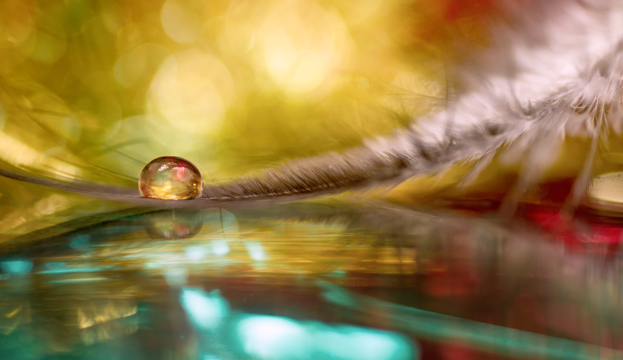 Tamron SP AF 90mm F2.8 Di Macro sample photo. Christmas tear photography