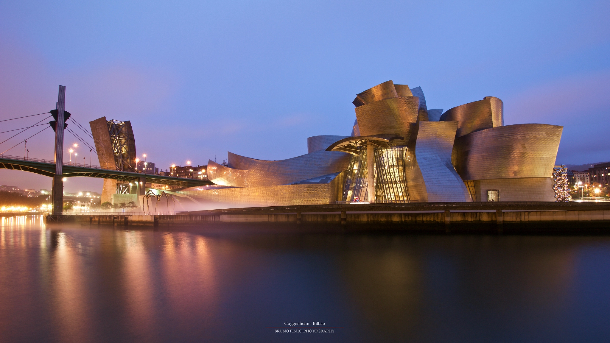 Canon EOS 550D (EOS Rebel T2i / EOS Kiss X4) sample photo. Guggenheim - bilbao photography