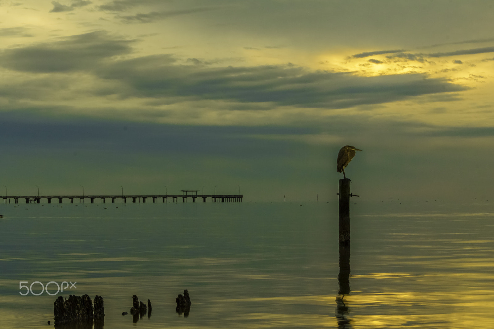 Sigma 18-250mm F3.5-6.3 DC OS HSM sample photo. Just calm... photography