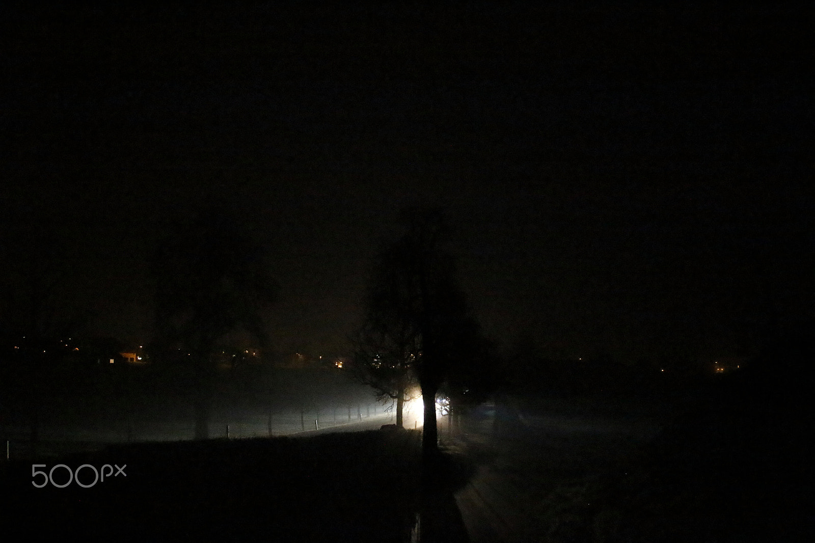 Canon EF 28-80mm f/3.5-5.6 sample photo. Iso 12800 photography