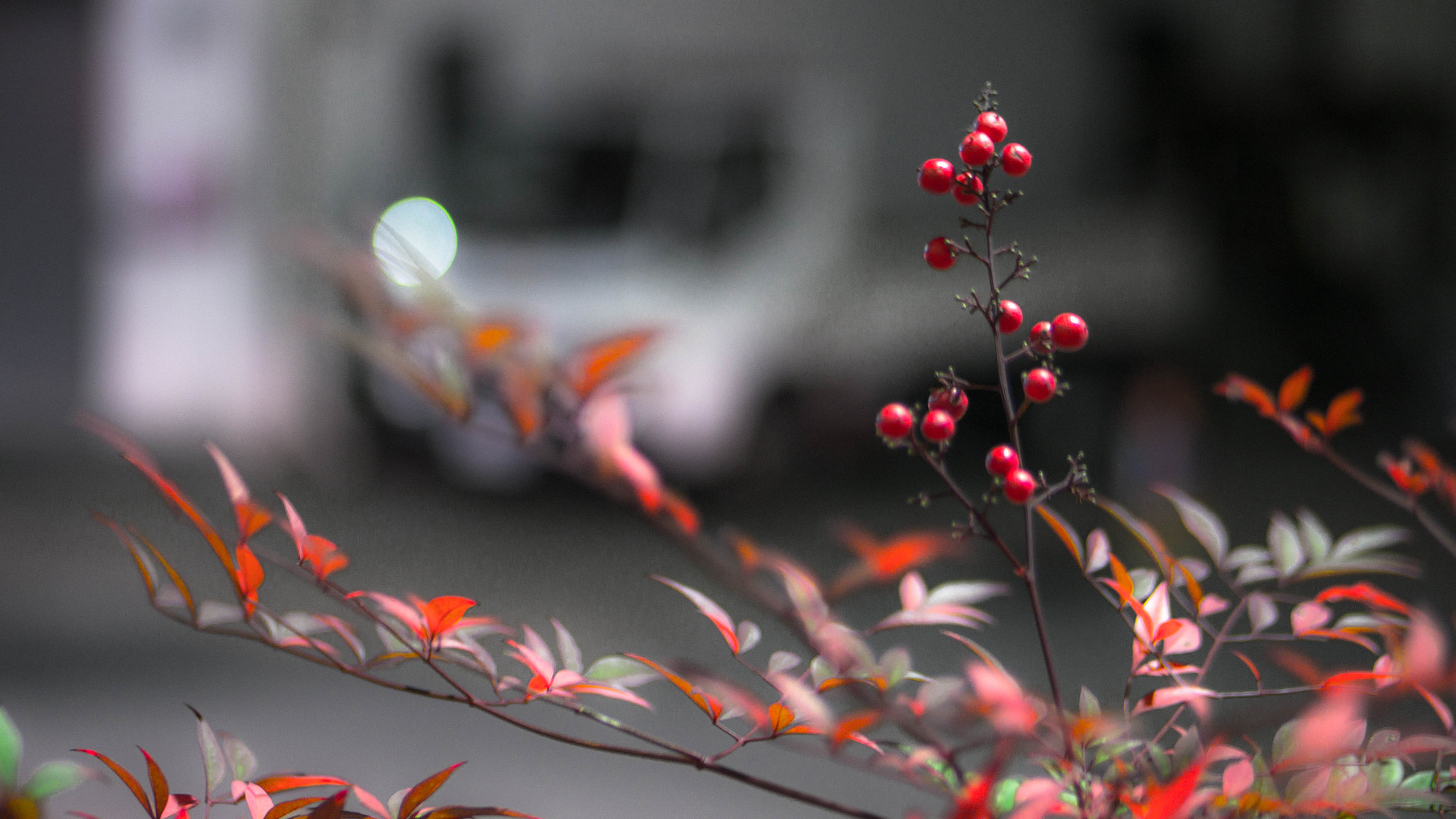 Panasonic Lumix G 42.5mm F1.7 ASPH Power OIS sample photo. P1060671.jpg photography