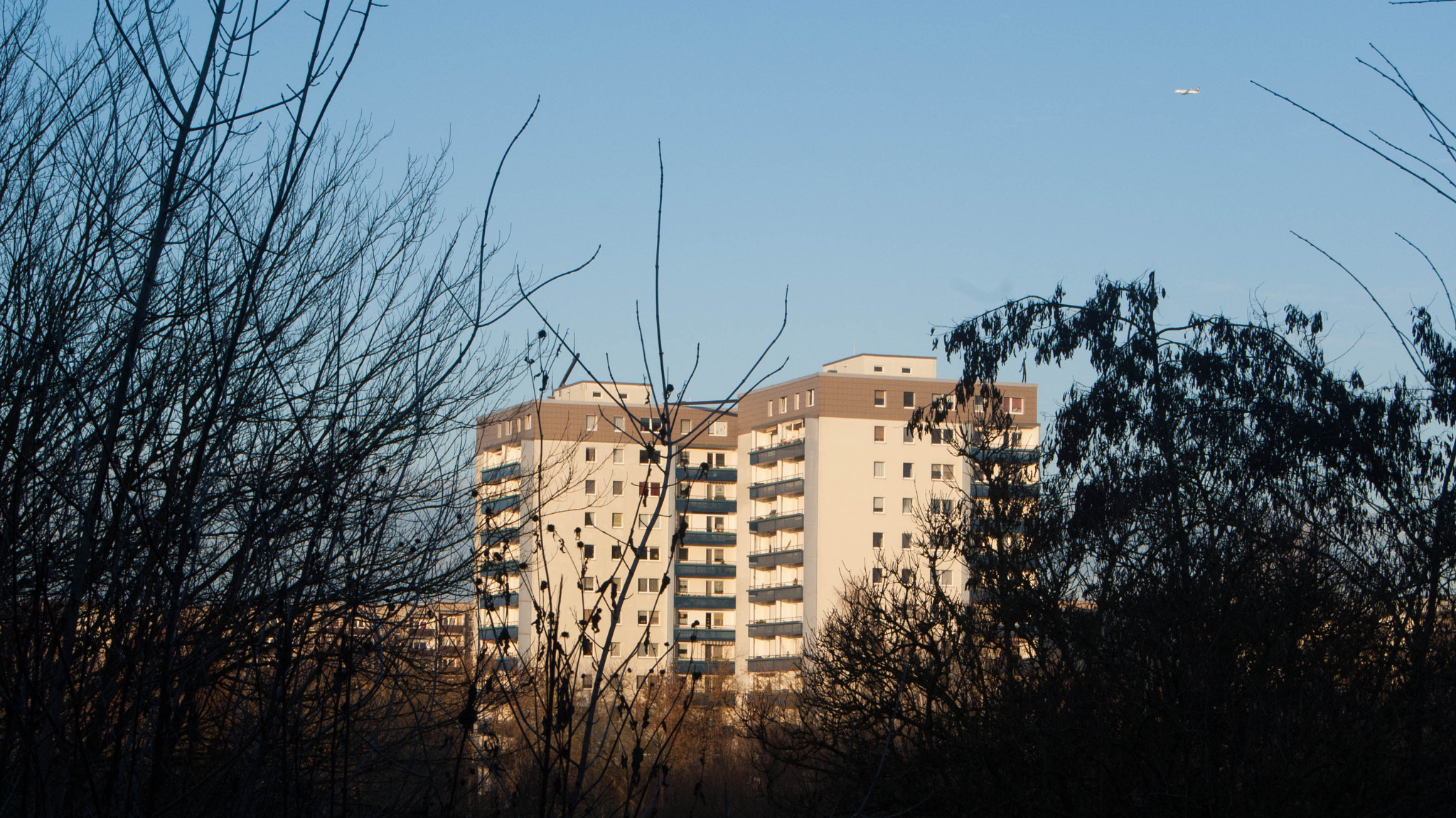 Sony Alpha DSLR-A200 + Sony DT 18-55mm F3.5-5.6 SAM sample photo. Highrise between trees photography