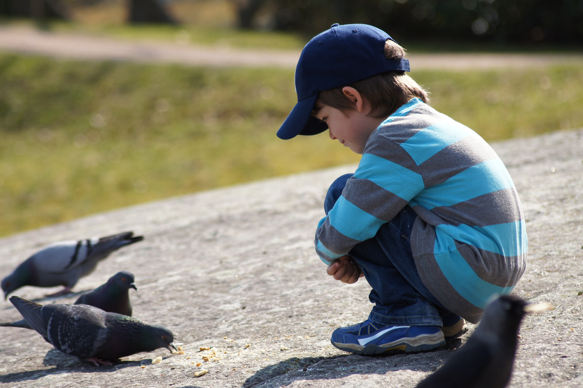 Sony SLT-A55 (SLT-A55V) + Sigma 70-300mm F4-5.6 DL Macro sample photo. Feeding birds photography