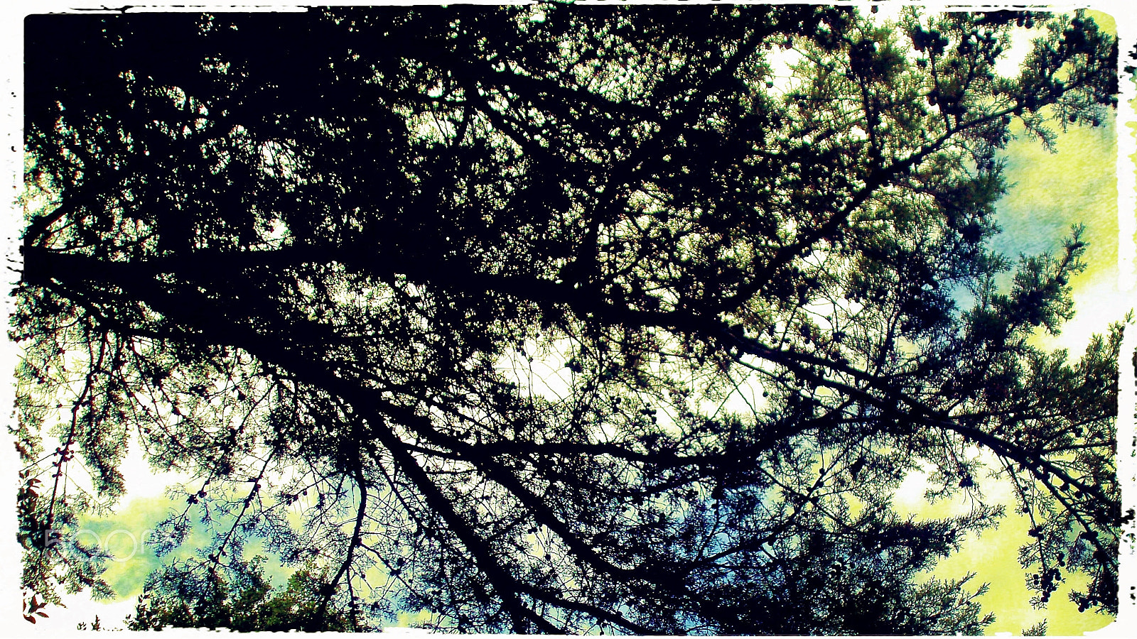 Olympus u760,S760 sample photo. Sintra 2015 photography