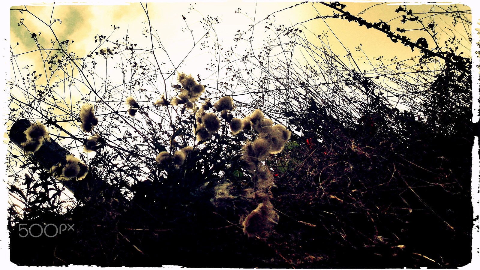 Olympus u760,S760 sample photo. Sintra 2015 photography