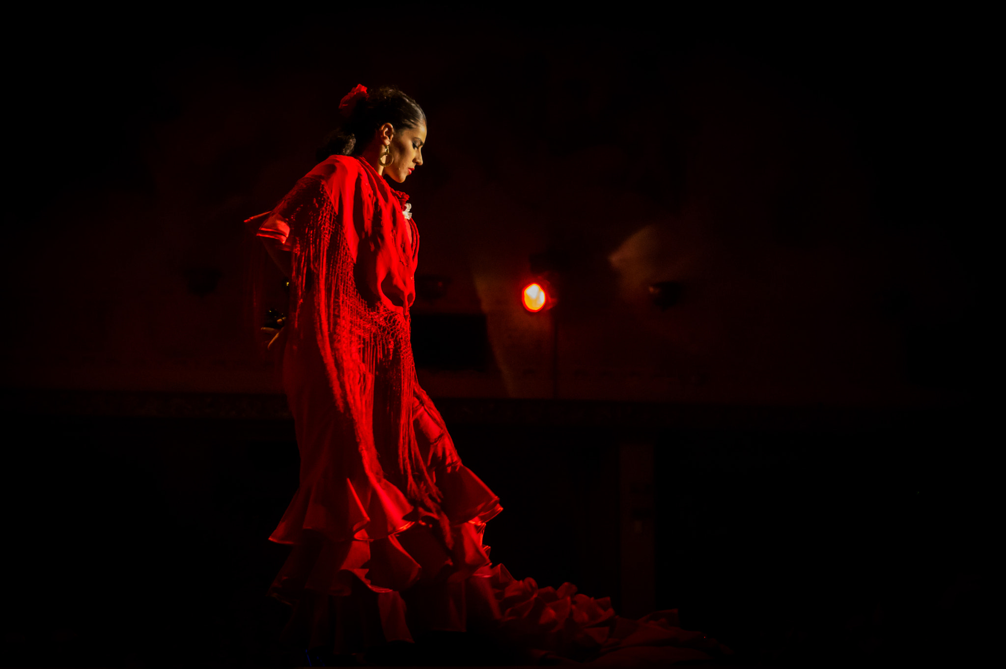 Sony Alpha NEX-F3 + Sony E 35mm F1.8 OSS sample photo. Flamenco. photography
