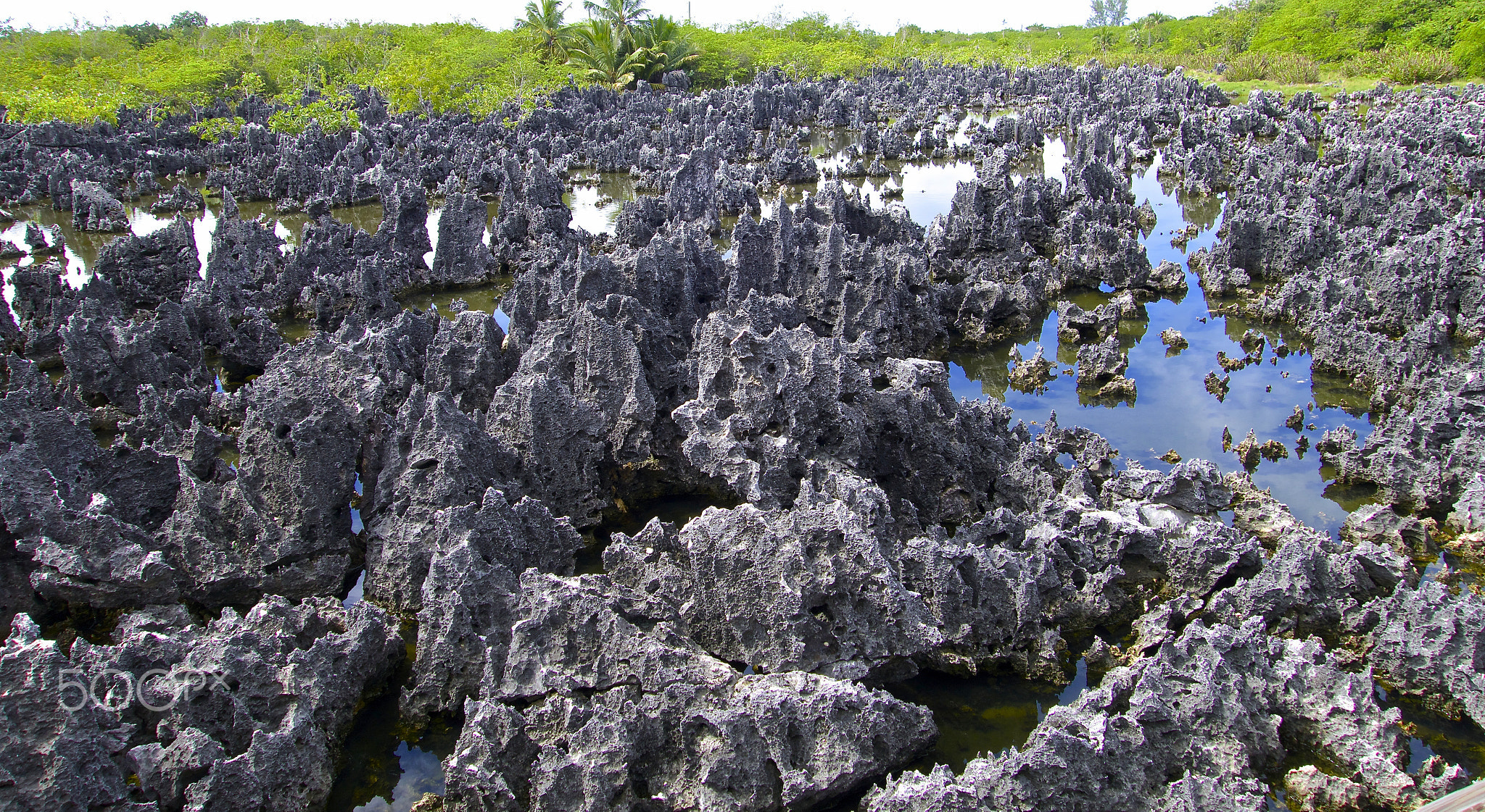 That's the swimming hole?