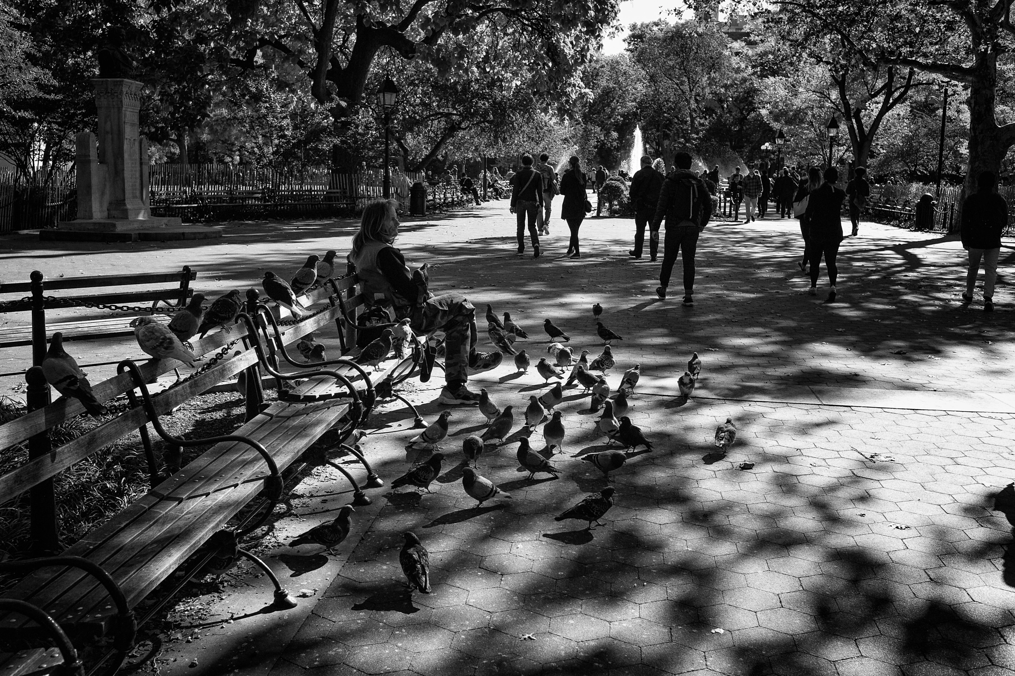 Leica M9 + Leica Summarit-M 35mm F2.5 sample photo. Pigeonman photography