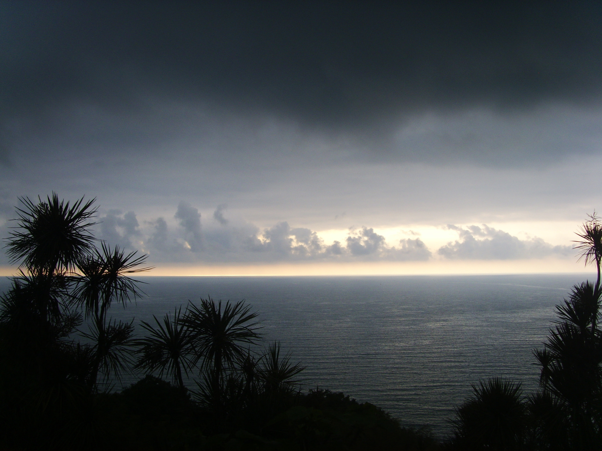 DIGITAL CAM sample photo. Batumi, fixed from botanical garden photography