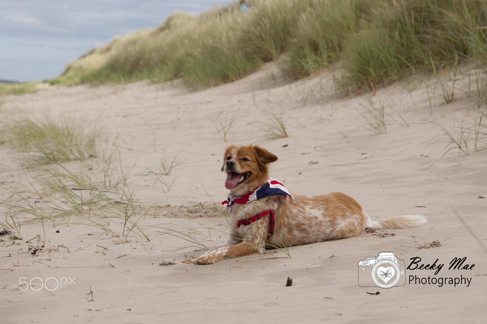 Sigma 70-300mm F4-5.6 APO DG Macro sample photo. Relaxing at the beach photography