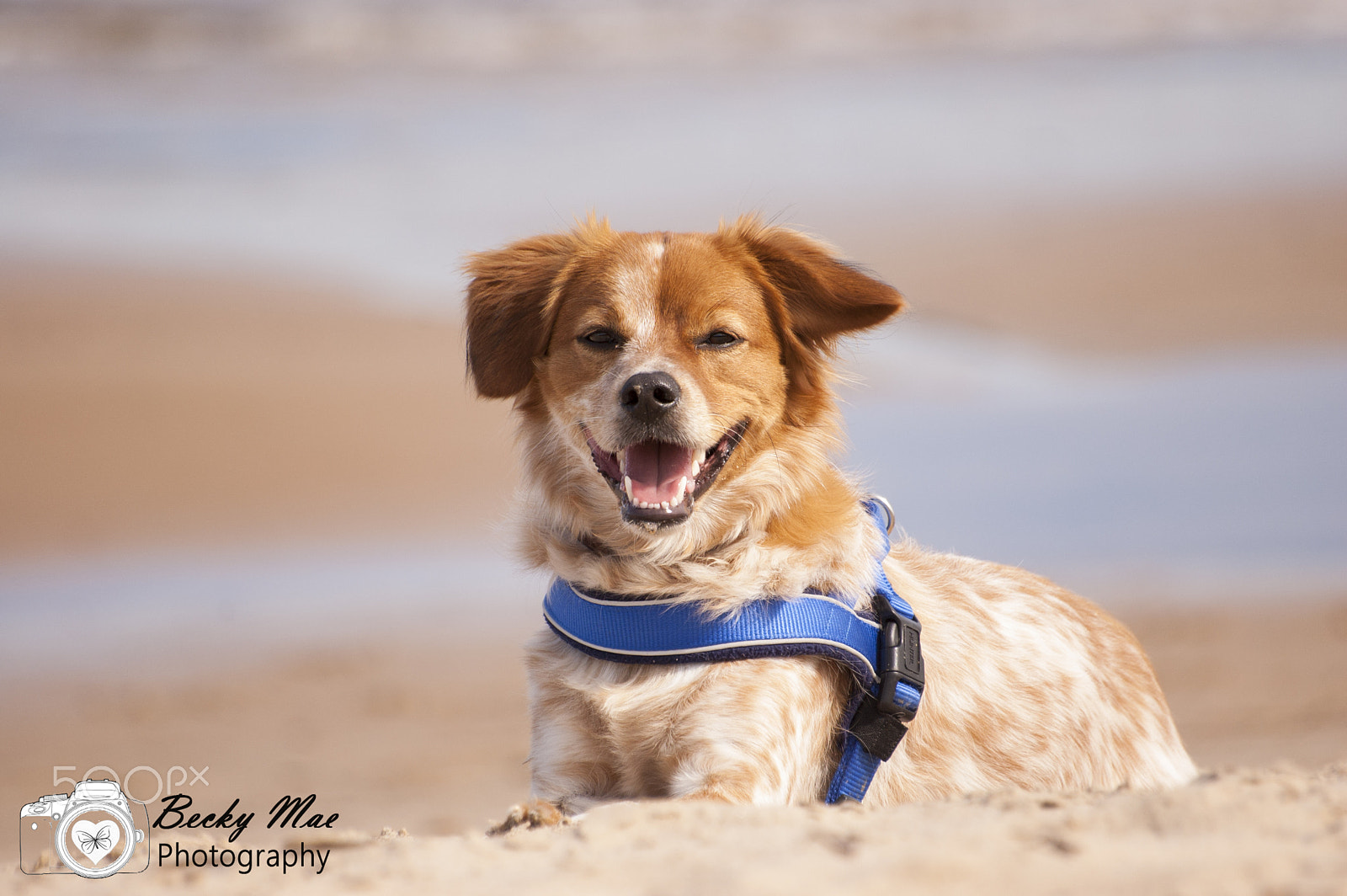 Sigma 70-300mm F4-5.6 APO DG Macro sample photo. Sam beach photography