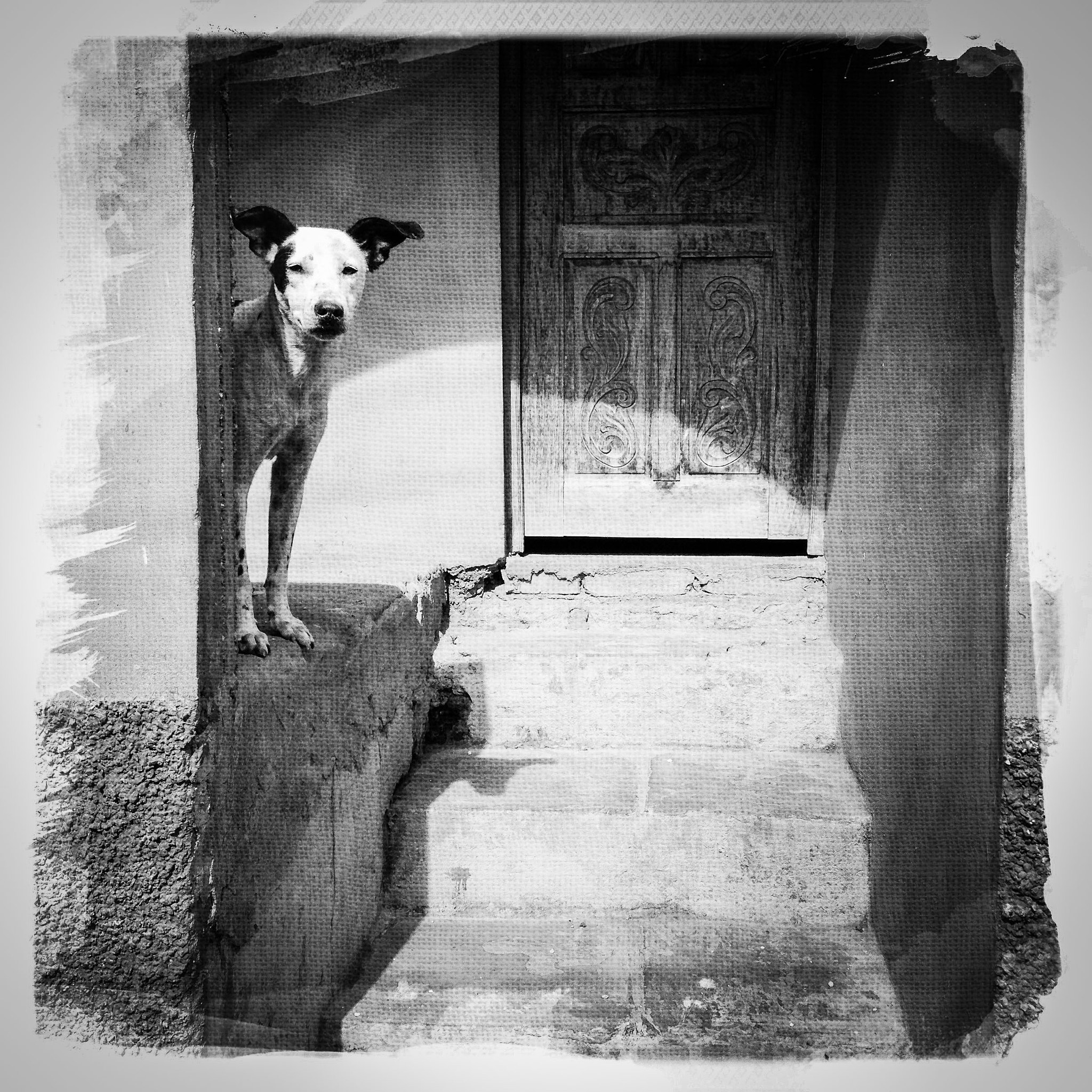Hipstamatic 279 sample photo. Black and white 115 photography