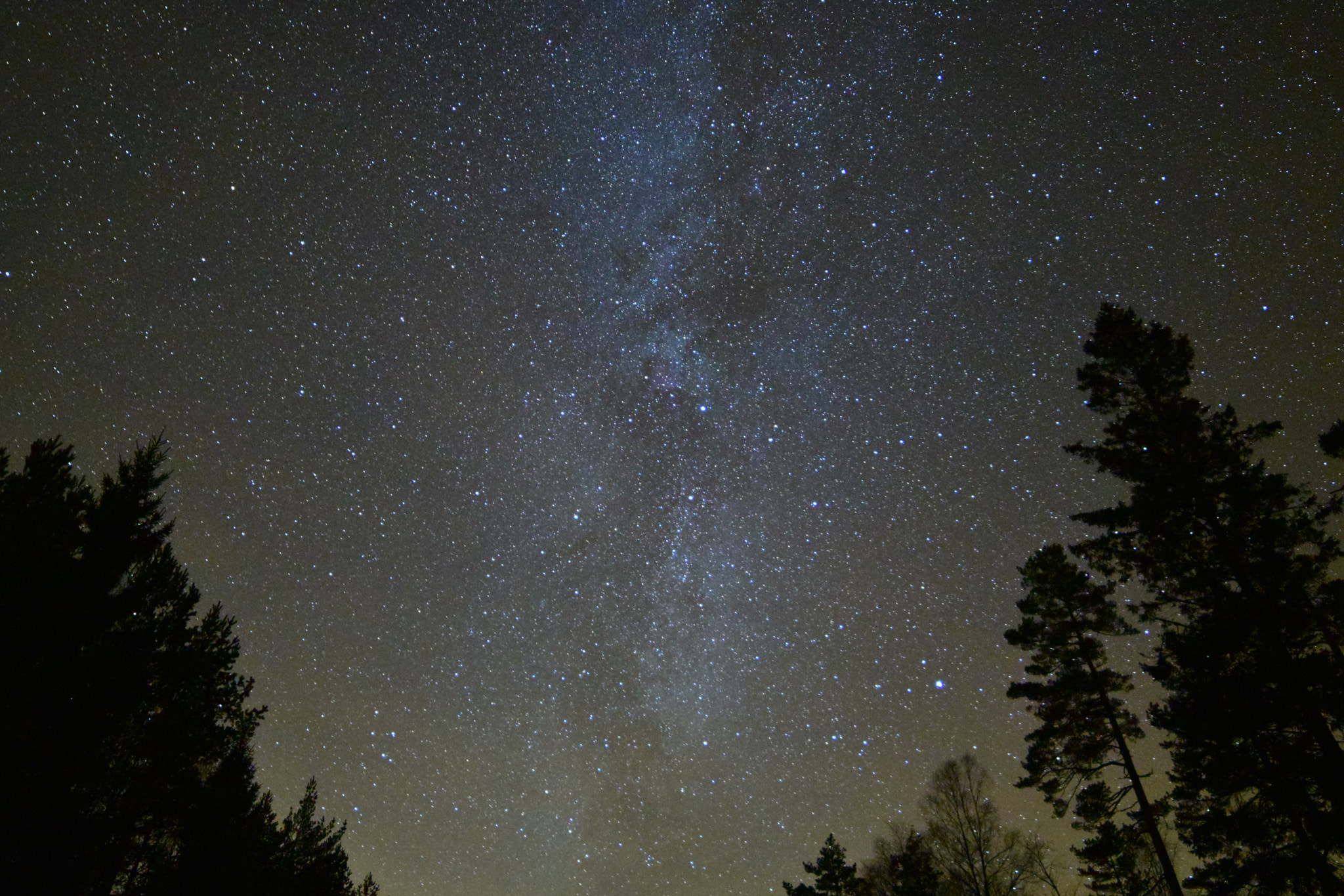 Samyang 14mm F2.8 ED AS IF UMC sample photo. Milky way above sweden photography