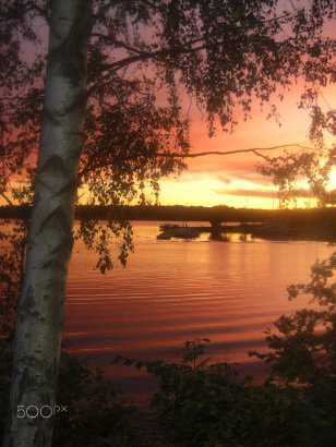 CASIO EX-Z1080 sample photo. Birch paradise photography