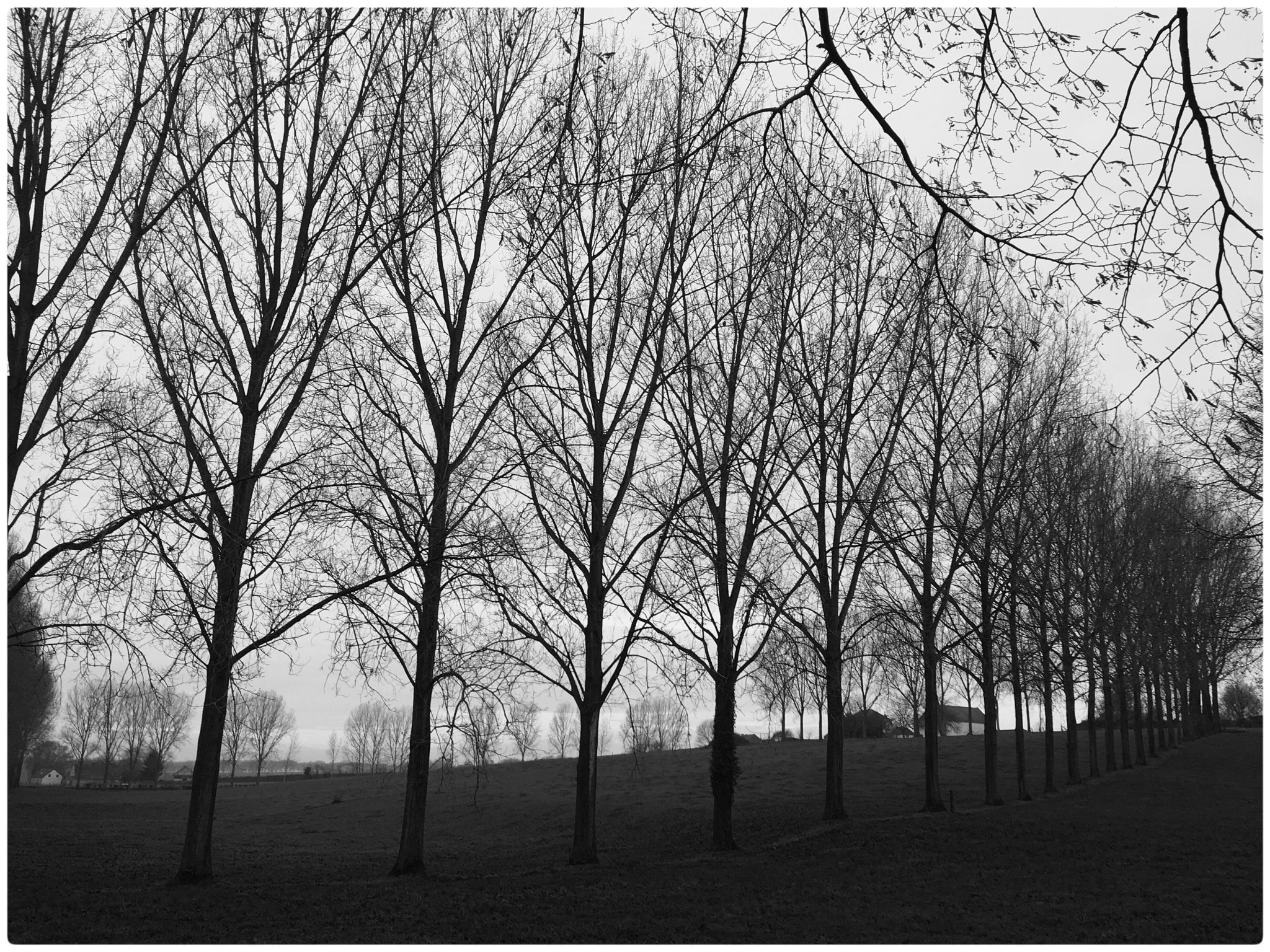 Jag.gr 645 PRO Mk III for iOS sample photo. Nature in jodoigne 1/2 photography