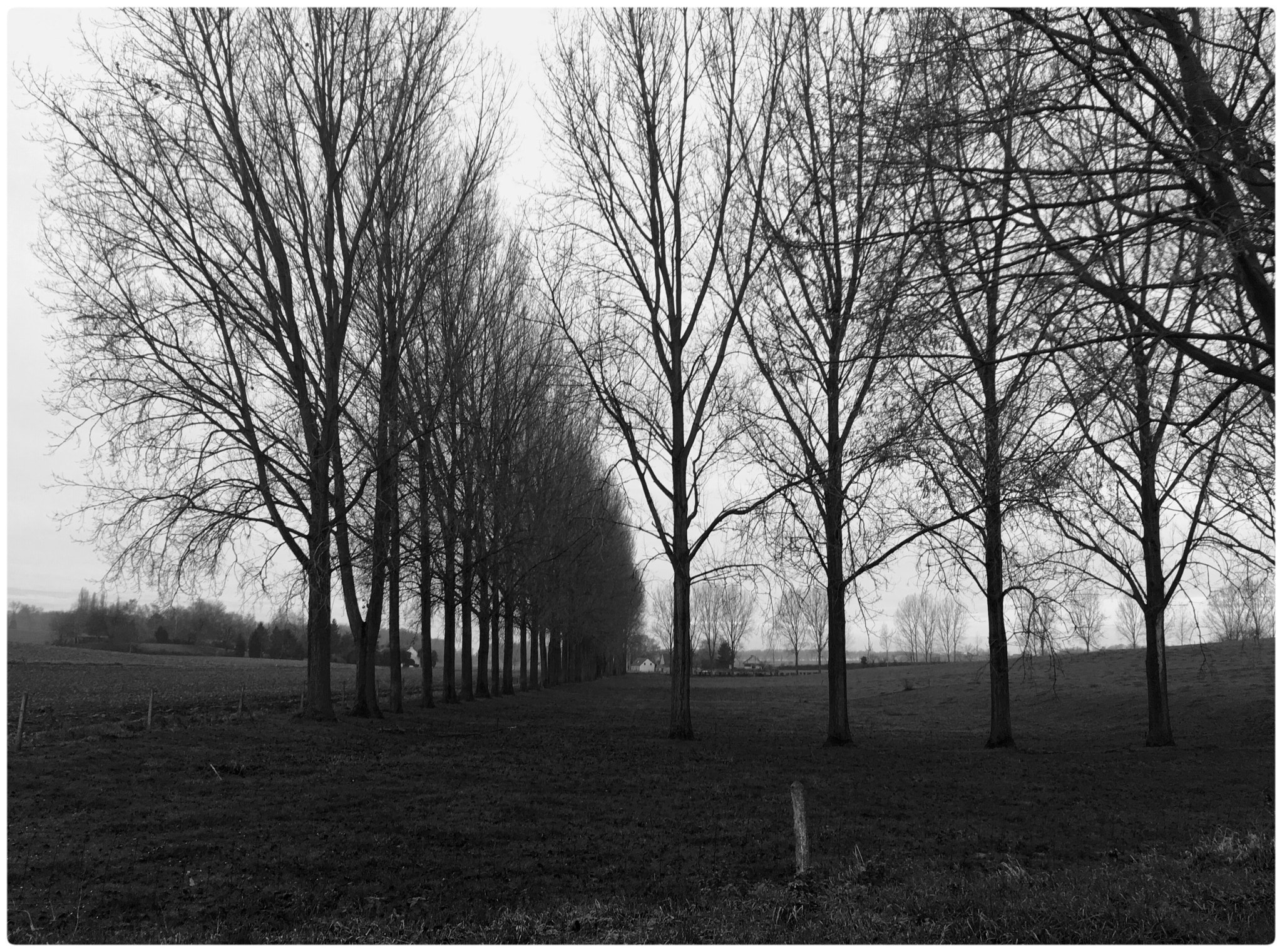 Jag.gr 645 PRO Mk III for iOS sample photo. Nature in jodoigne 2/2 photography