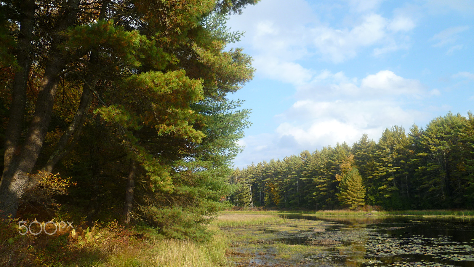 Panasonic DMC-FH20 sample photo. Shallow pond in warm october photography