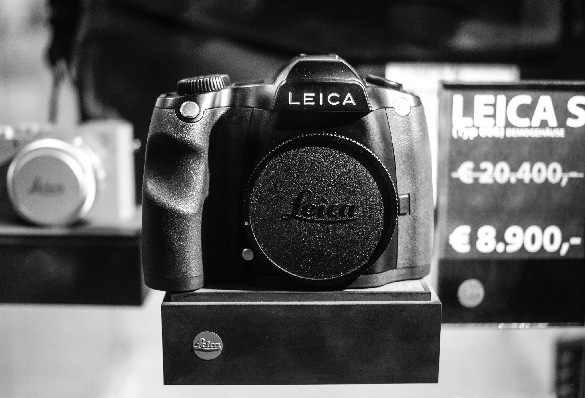 Sony ILCA-77M2 + Sony DT 35mm F1.8 SAM sample photo. Million dollar baby photography