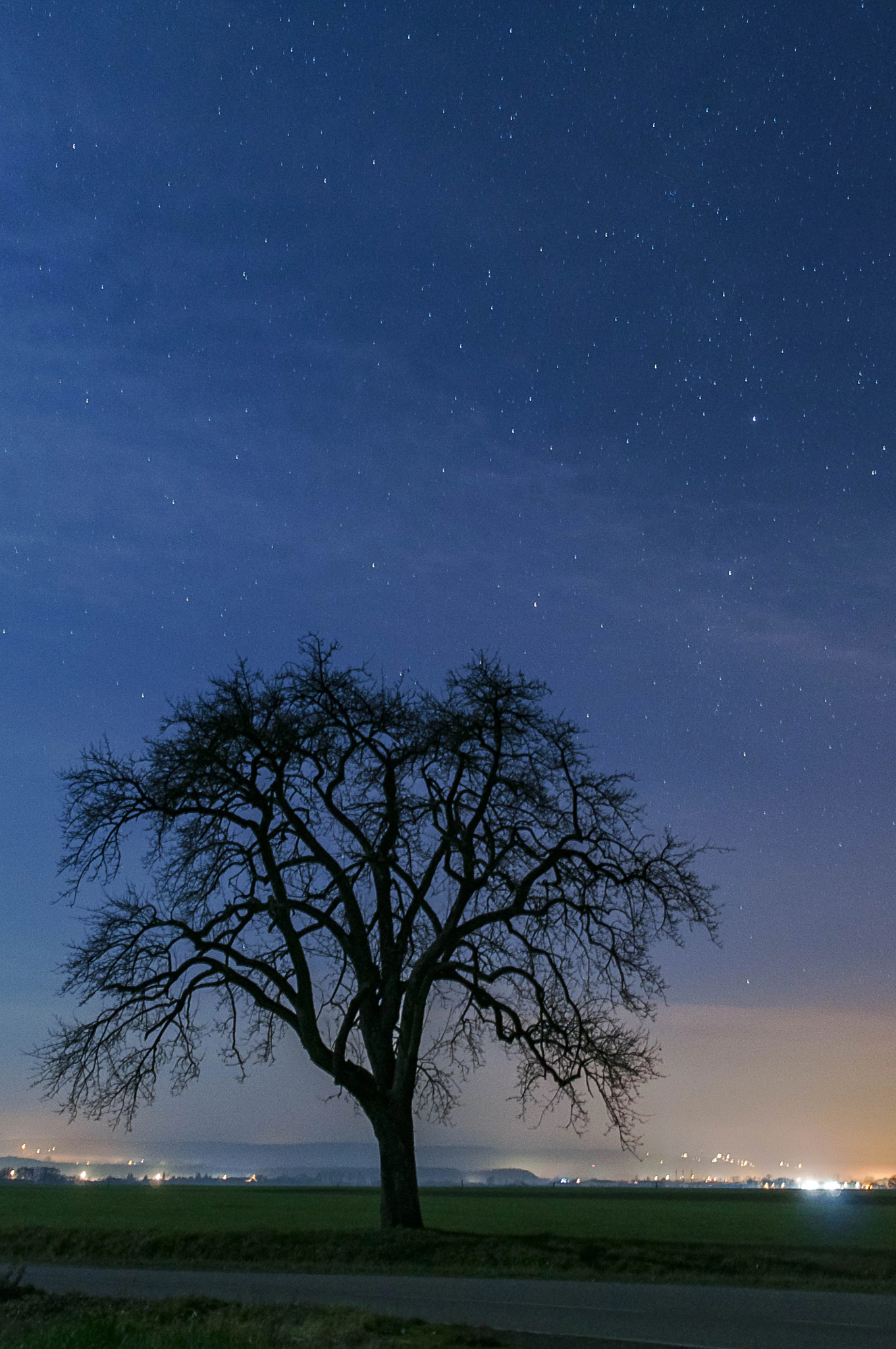 Tamron SP 24-70mm F2.8 Di VC USD sample photo. Under the stars photography