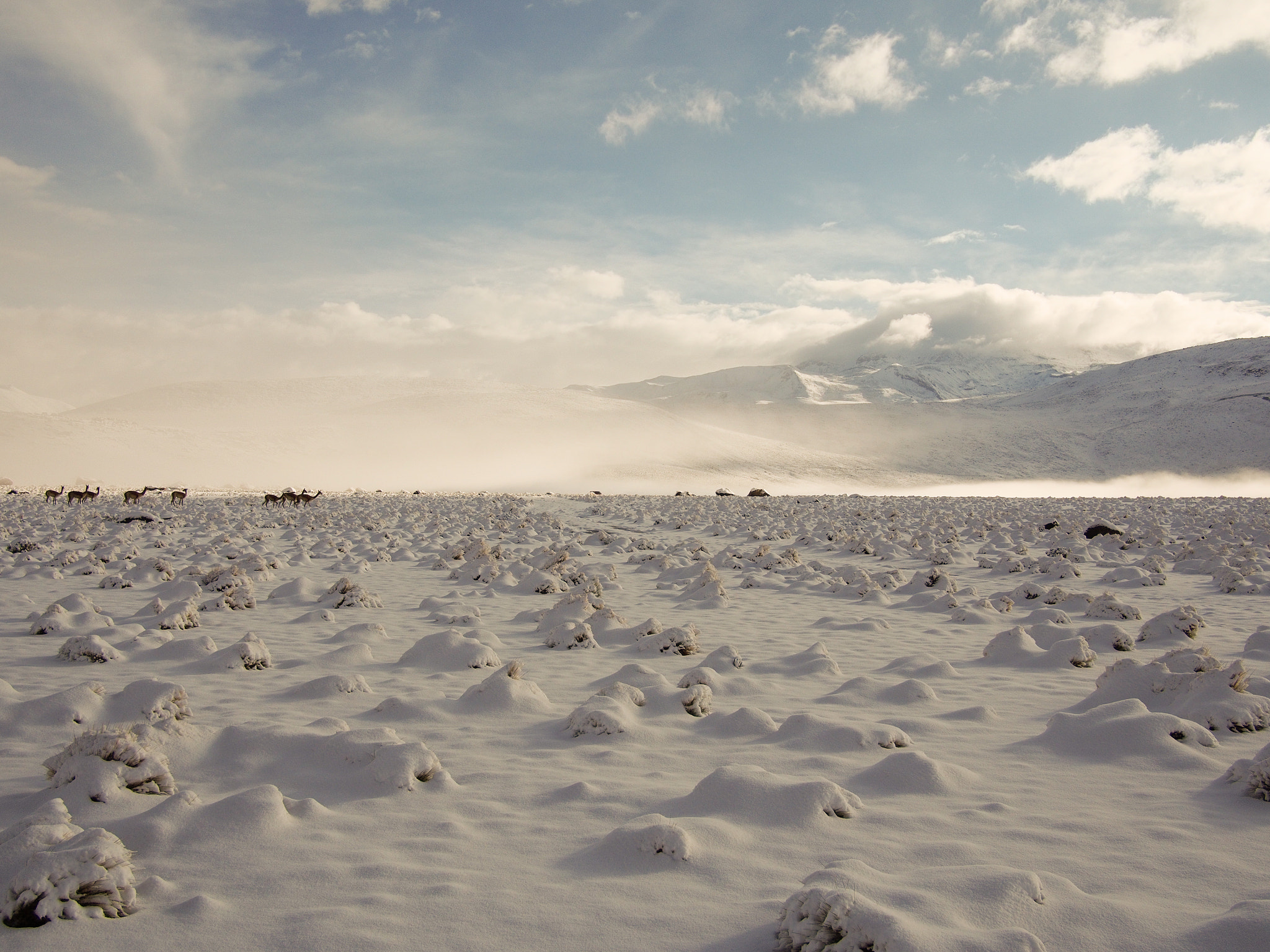 Olympus PEN E-PM2 + Panasonic Lumix G 20mm F1.7 ASPH sample photo. Atacama desert photography