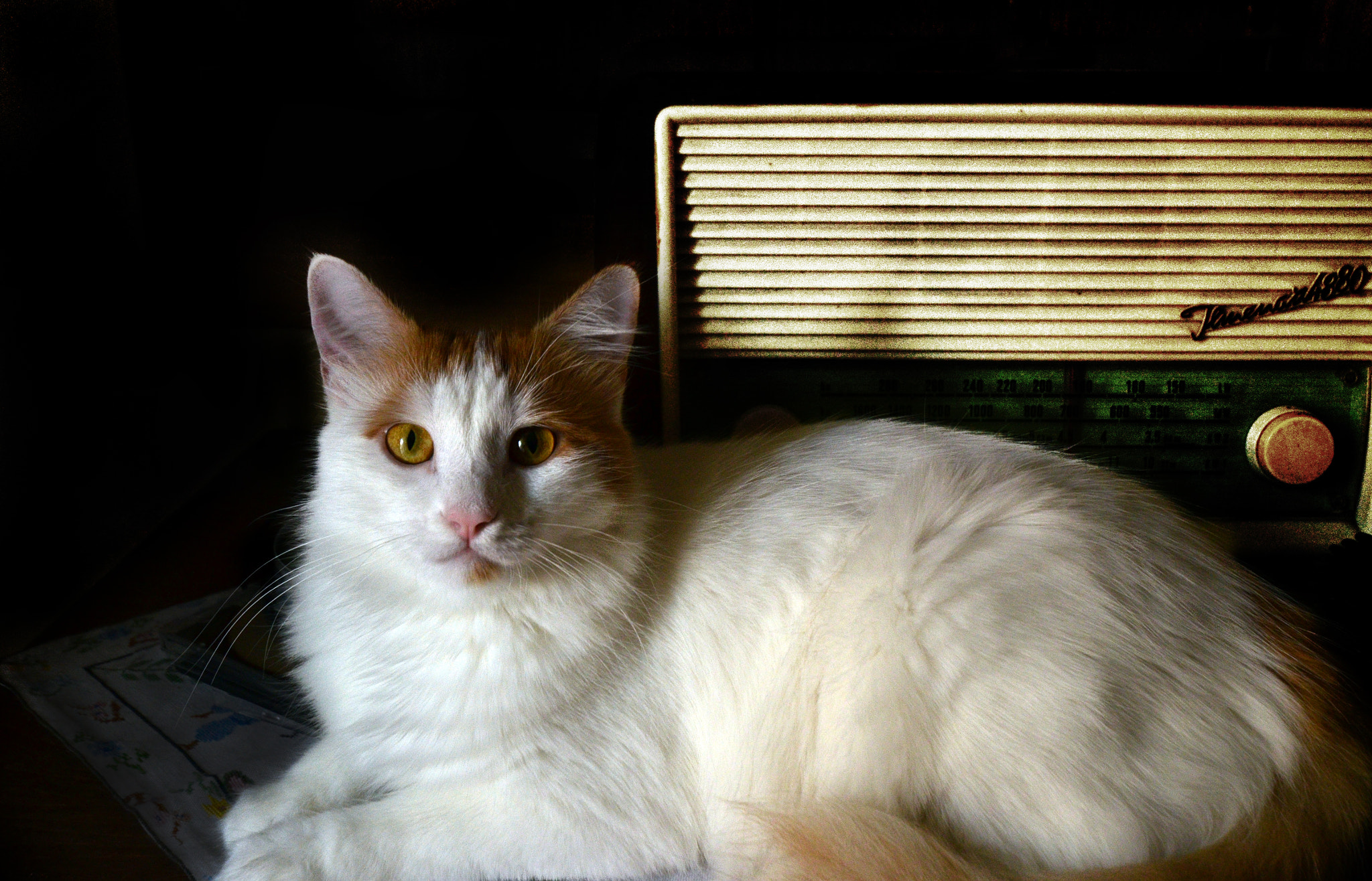 Sigma 12-24mm F4.5-5.6 EX DG Aspherical HSM sample photo. Sissy photography