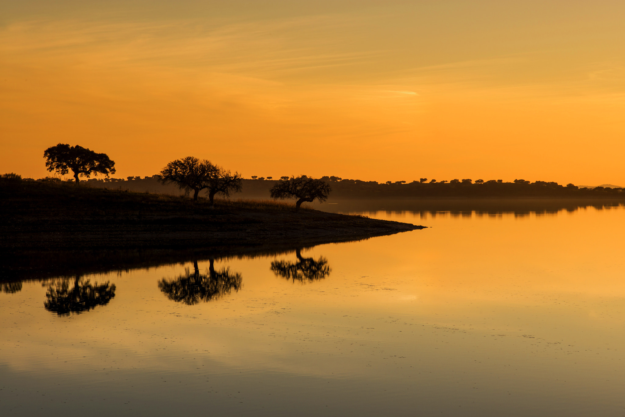 Elmarit-M 1:2.8/90 sample photo. Alentejo photography