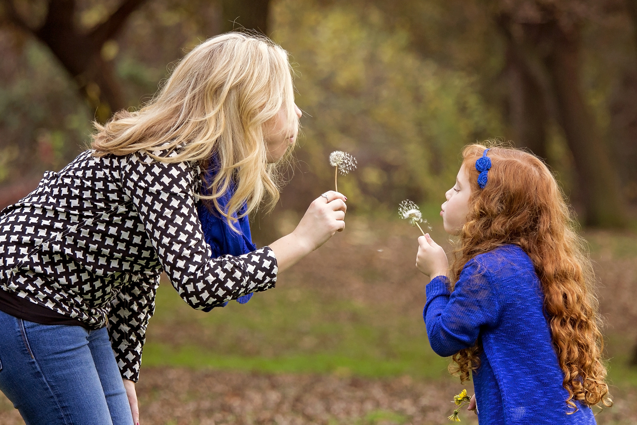 Canon EOS 650D (EOS Rebel T4i / EOS Kiss X6i) sample photo. Dandelions photography