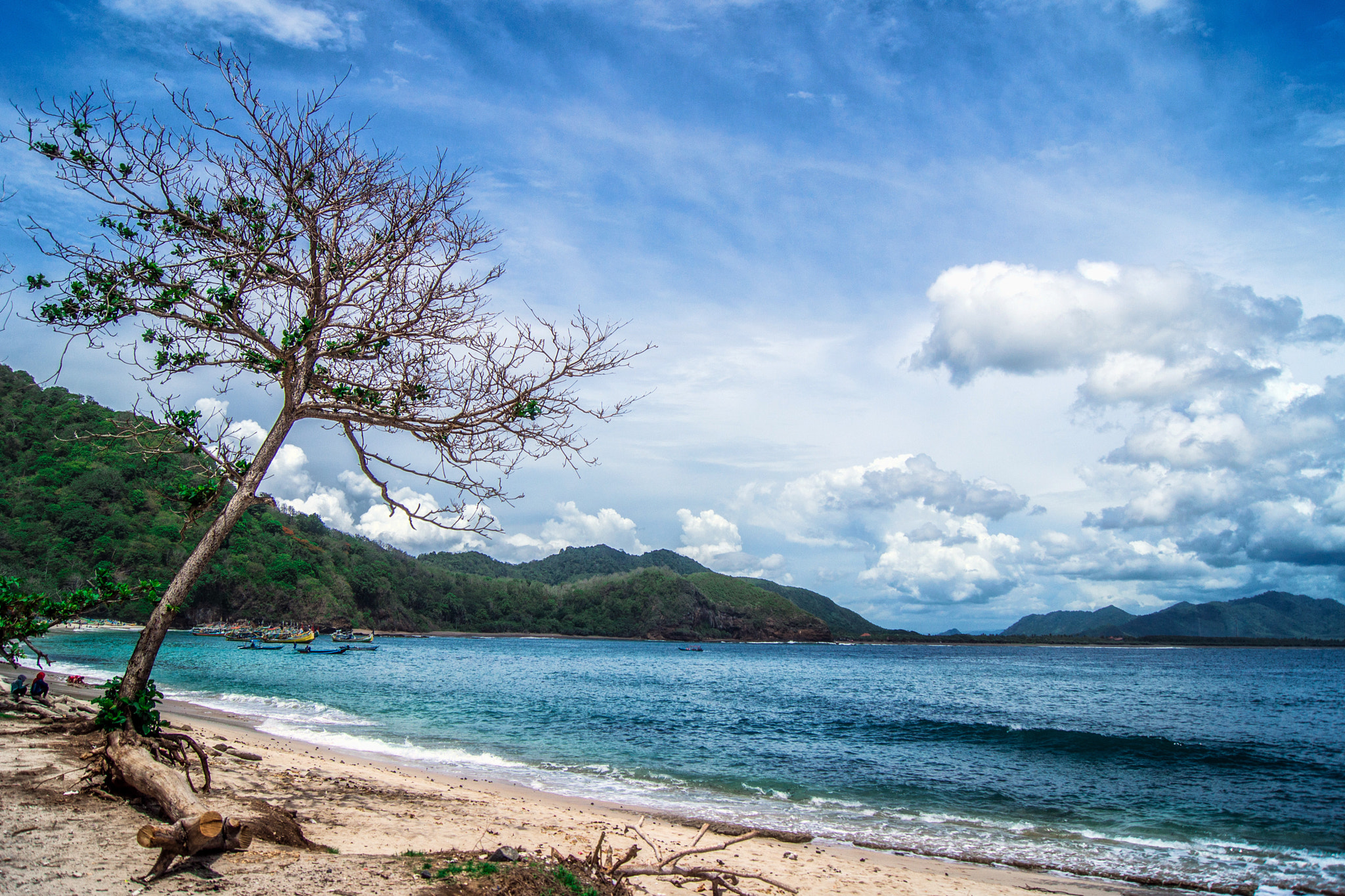 Sony Alpha DSLR-A560 + Sony DT 18-55mm F3.5-5.6 SAM sample photo. Tanjung papuma photography