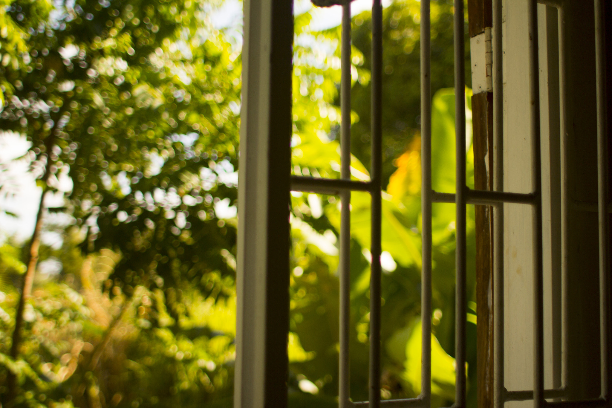 Canon EF 28mm F1.8 USM sample photo. Img_0011.jpg photography