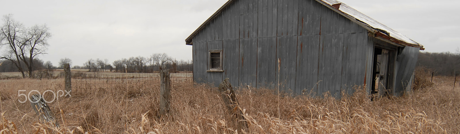 Nikon D200 sample photo. Abandoned farm shed photography