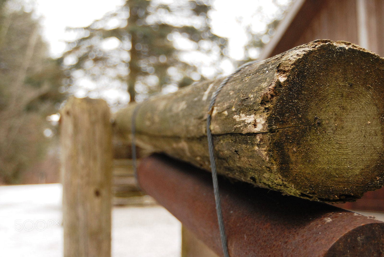 Nikon D200 sample photo. Log fence v photography