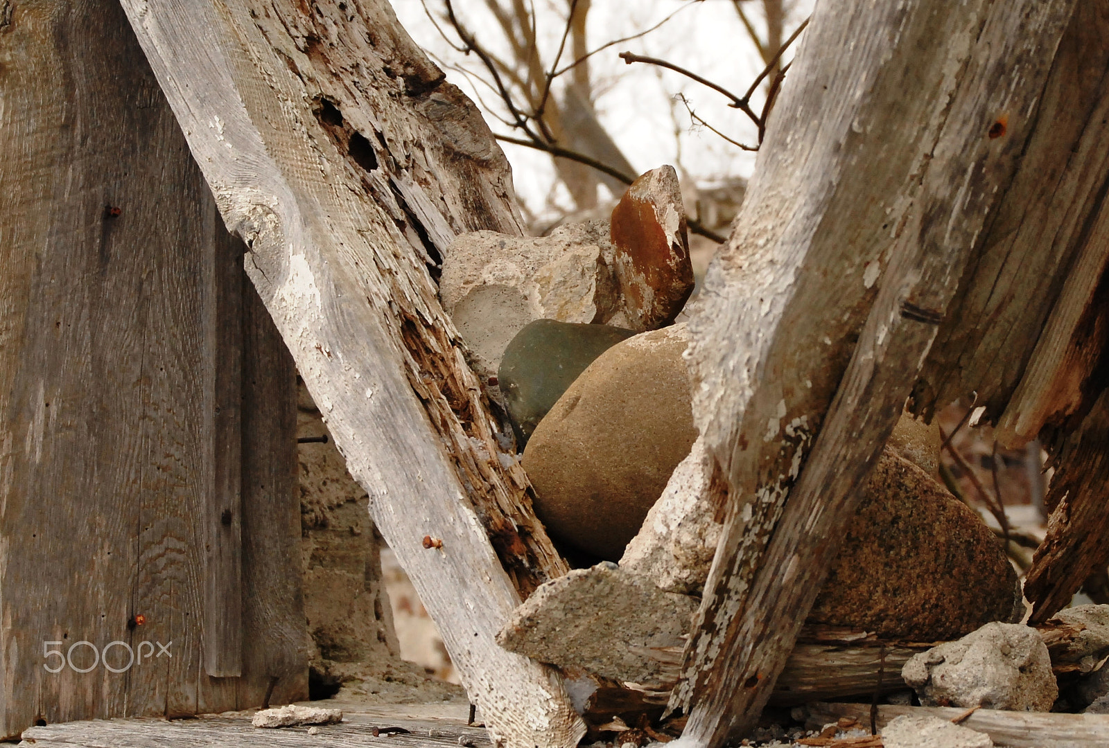 Nikon D200 sample photo. Barn v photography