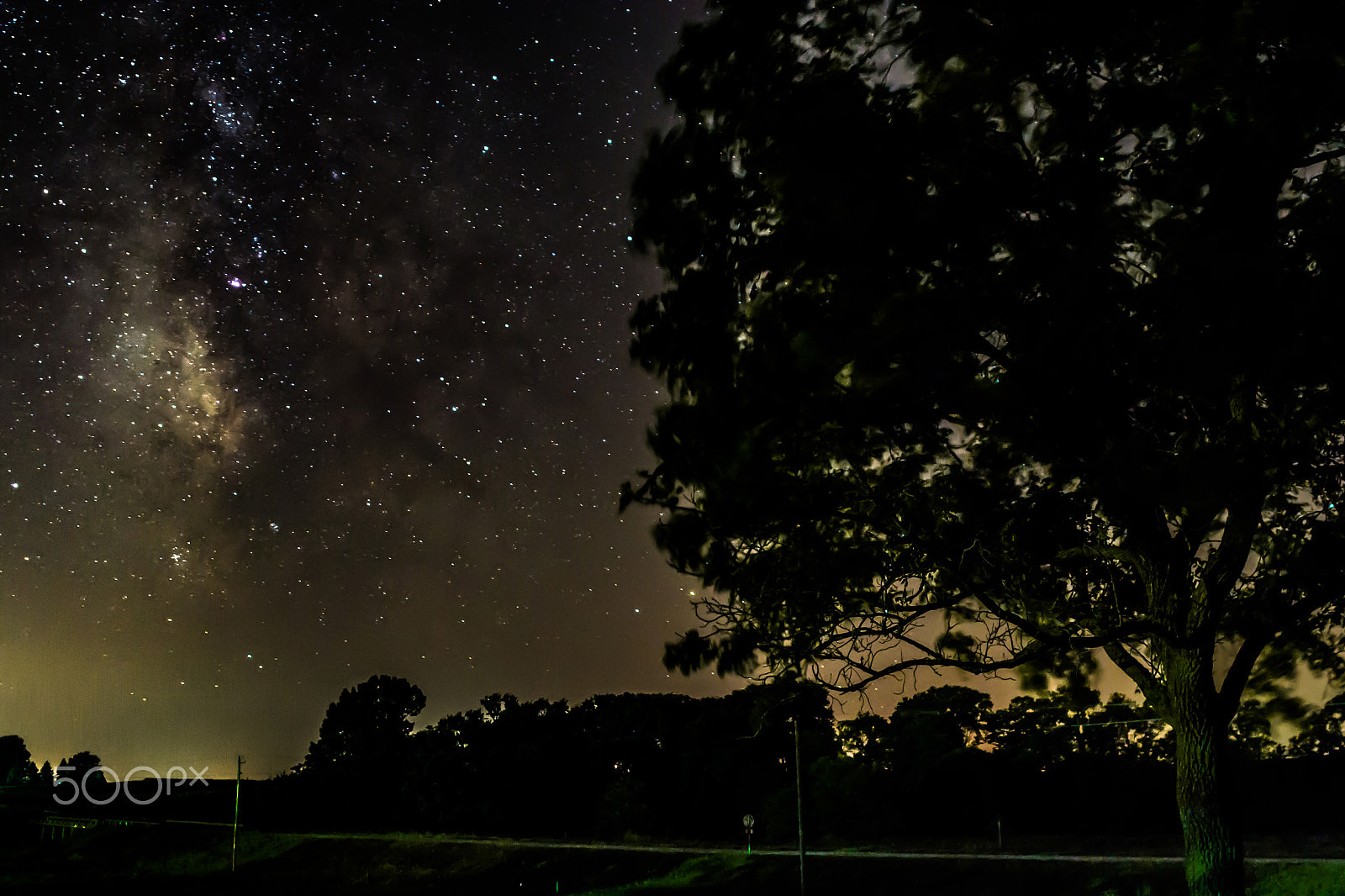 Nikon D3100 + Samyang 12mm F2.8 ED AS NCS Fisheye sample photo. Milky way and a tree photography