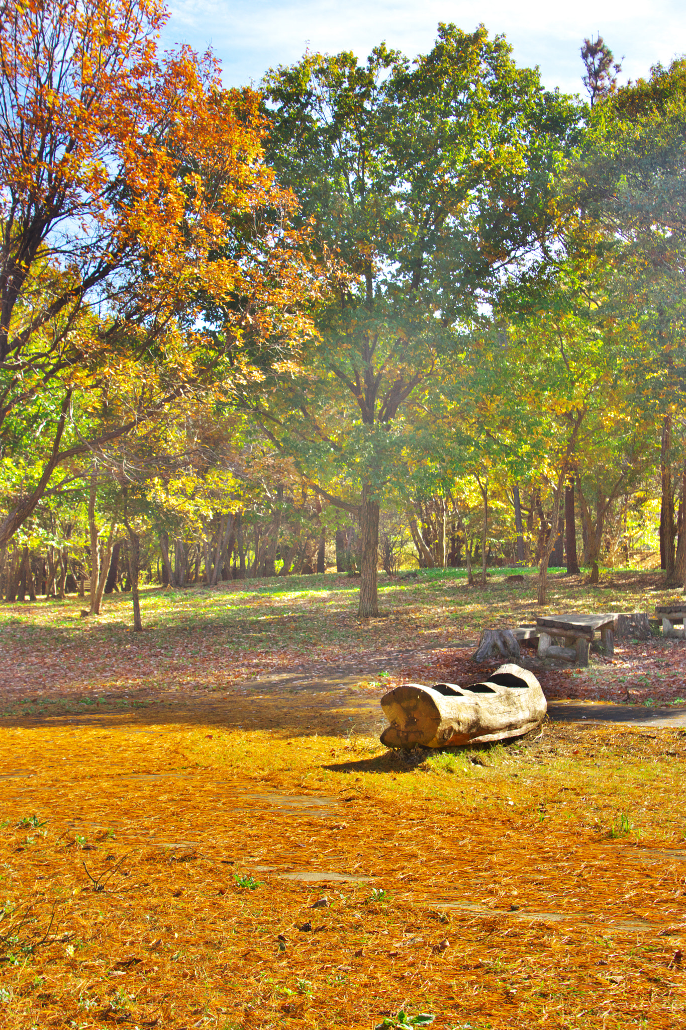 Sony SLT-A65 (SLT-A65V) + DT 18-270mm F3.5-6.3 sample photo. An autumn scene o photography