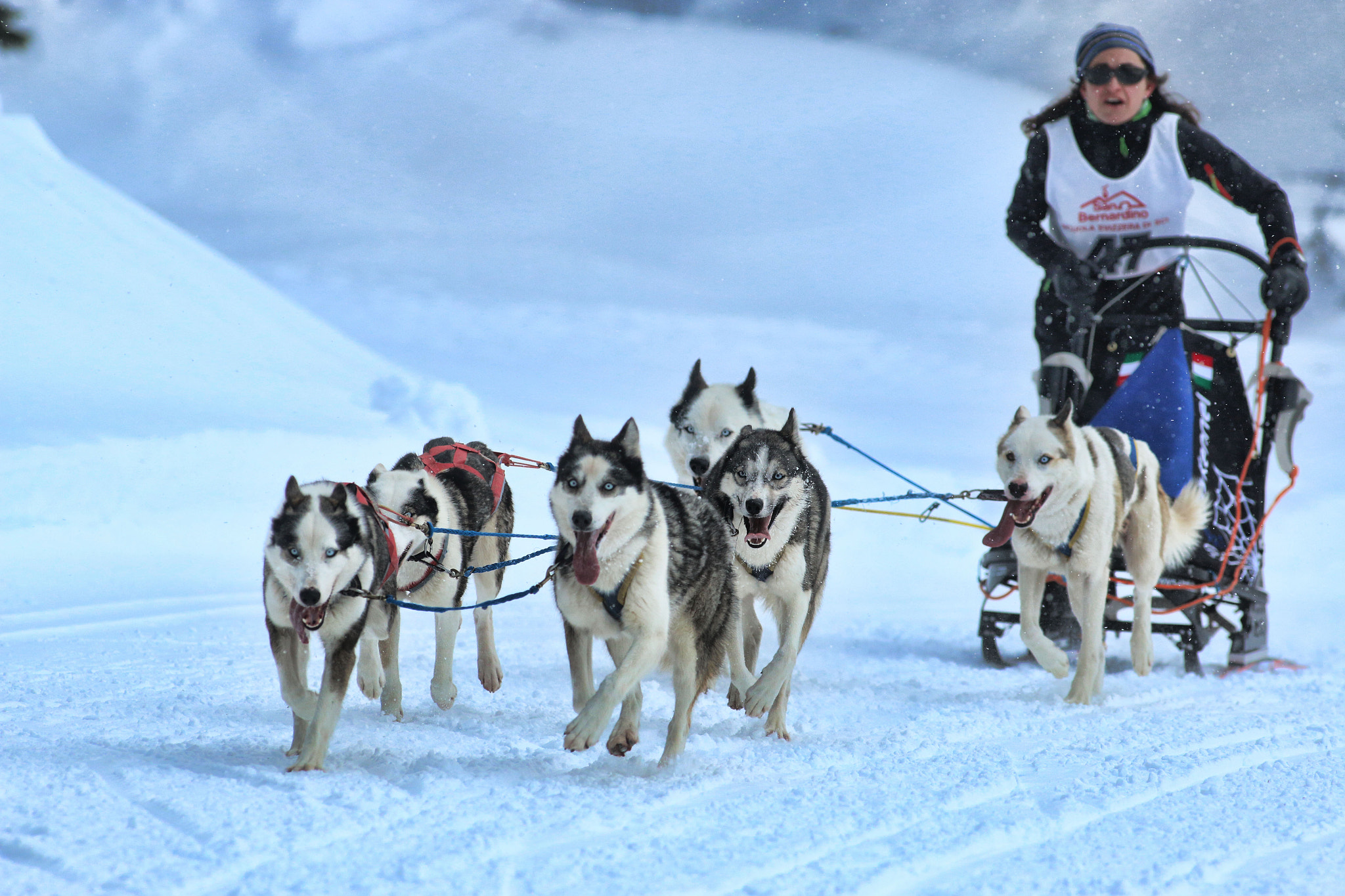 Canon EOS 70D + Canon EF 300mm f/2.8L sample photo. Schlittenhunde rennen san bernardino photography