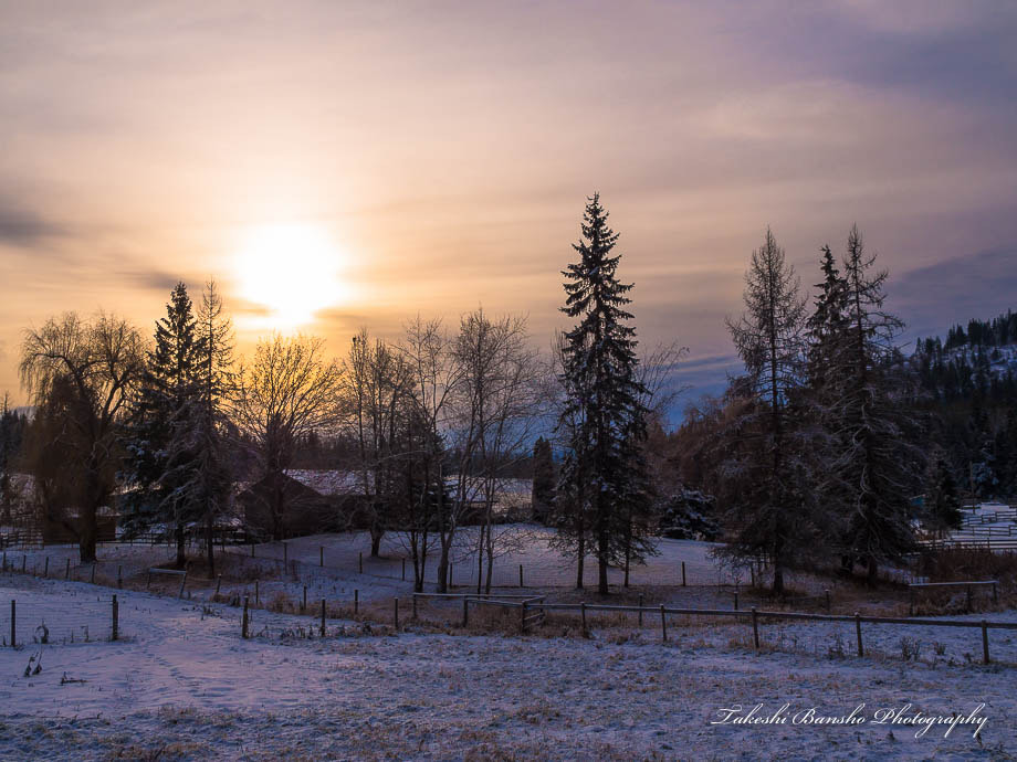 Olympus OM-D E-M10 sample photo. Typical morning in winter days photography