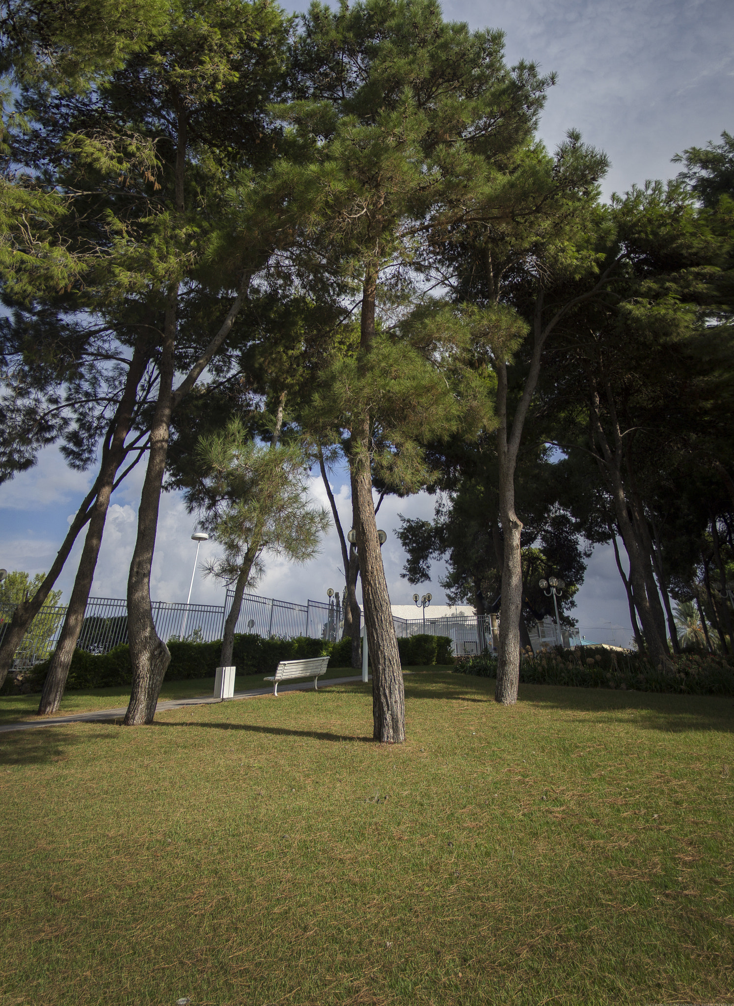 Olympus OM-D E-M10 + Panasonic Lumix G 14mm F2.5 ASPH sample photo
