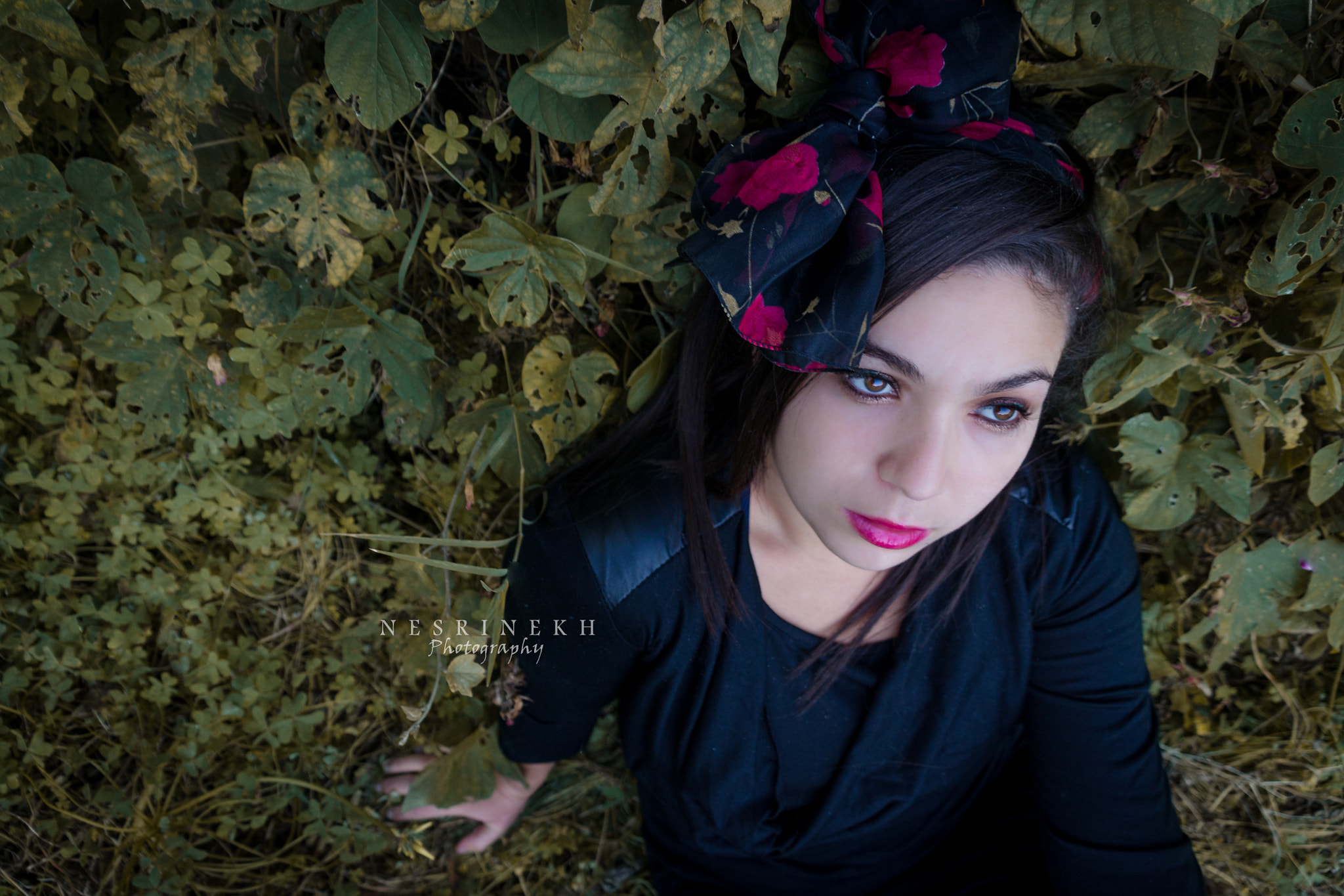 Sigma 18-200mm f/3.5-6.3 DC OS sample photo. Imene photography