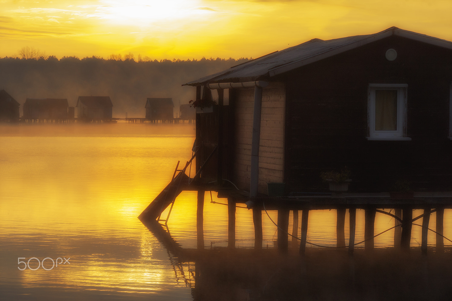 Sony Alpha DSLR-A900 + Tamron SP AF 70-200mm F2.8 Di LD (IF) MACRO sample photo. Morning lights photography