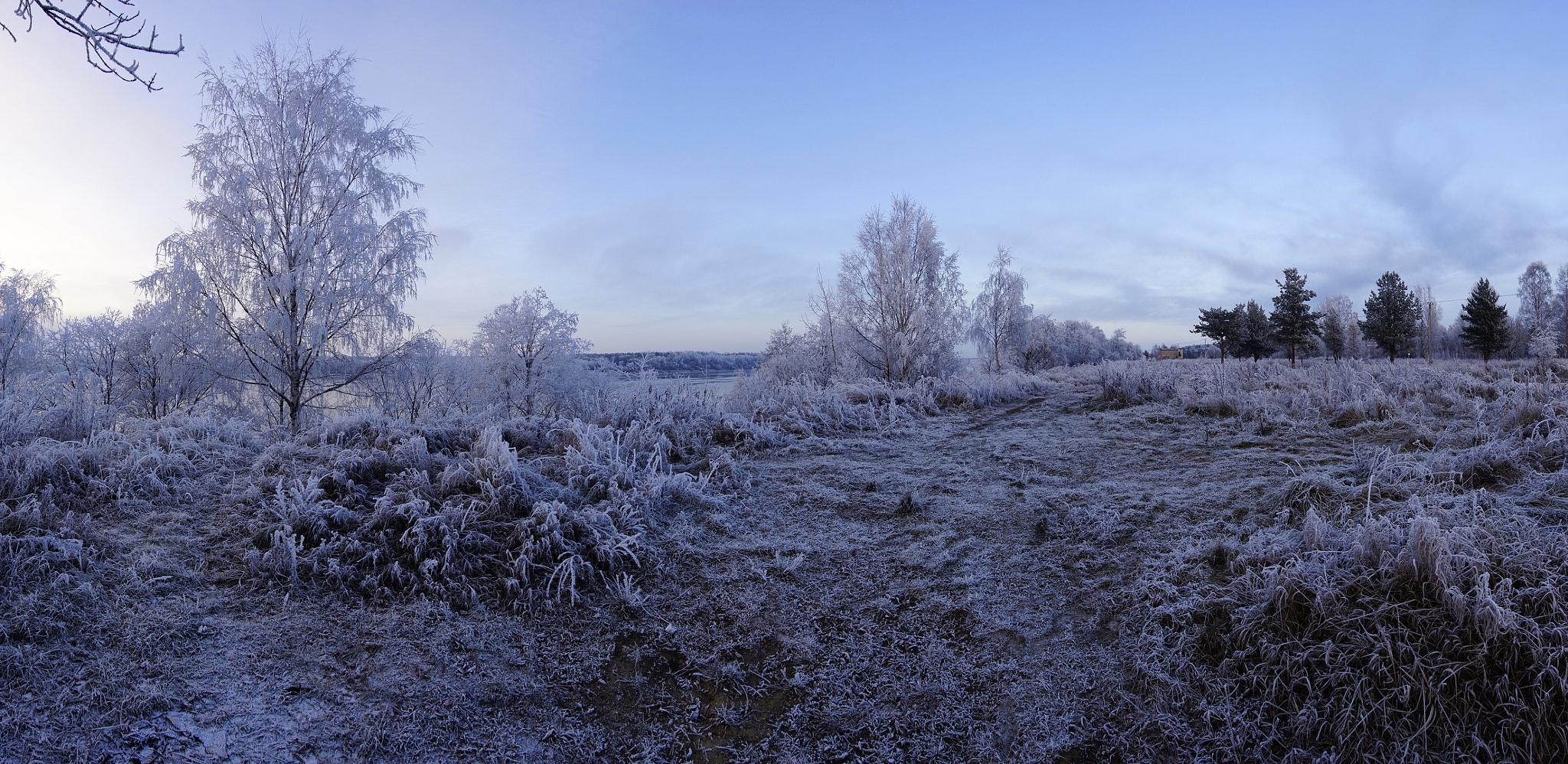 Sony Alpha NEX-5N + Sony E 10-18mm F4 OSS sample photo. The first frost. photography