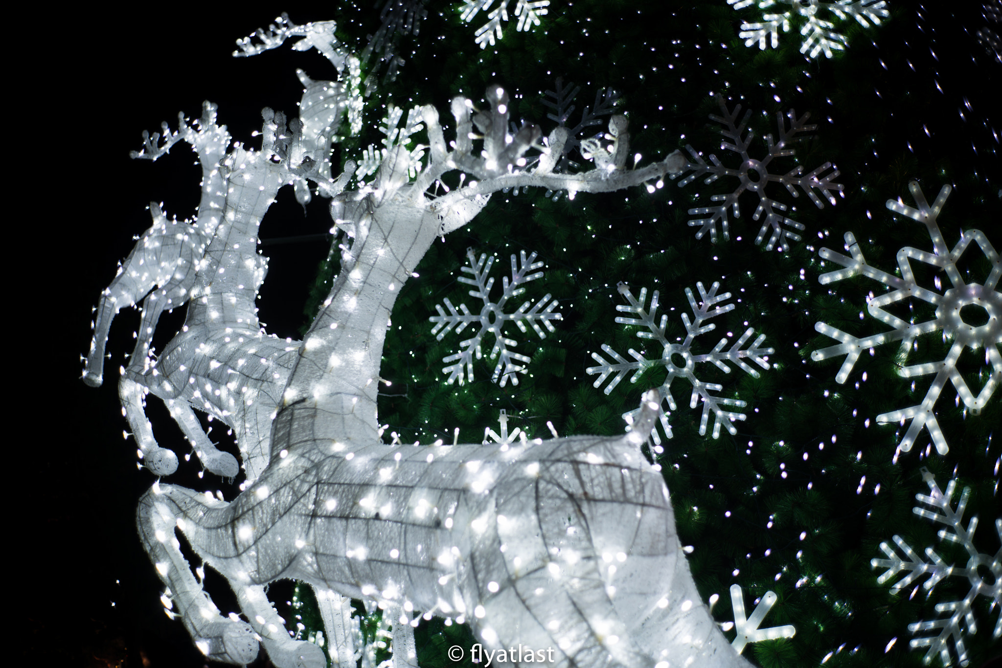 0mm F0 SAM sample photo. Silver deers around christmas tree photography