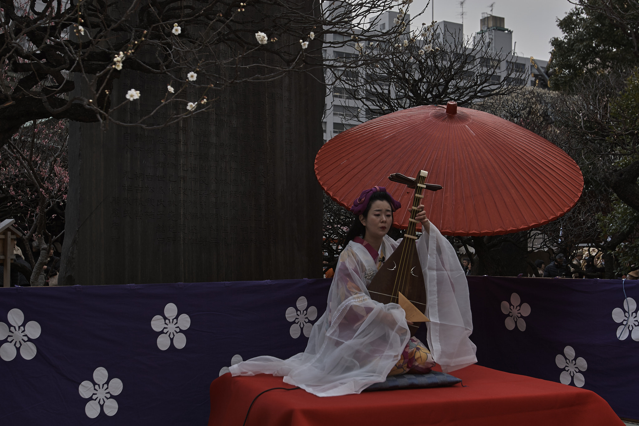 Canon EOS 30D + Canon EF 16-35mm F2.8L USM sample photo. Biwa player photography