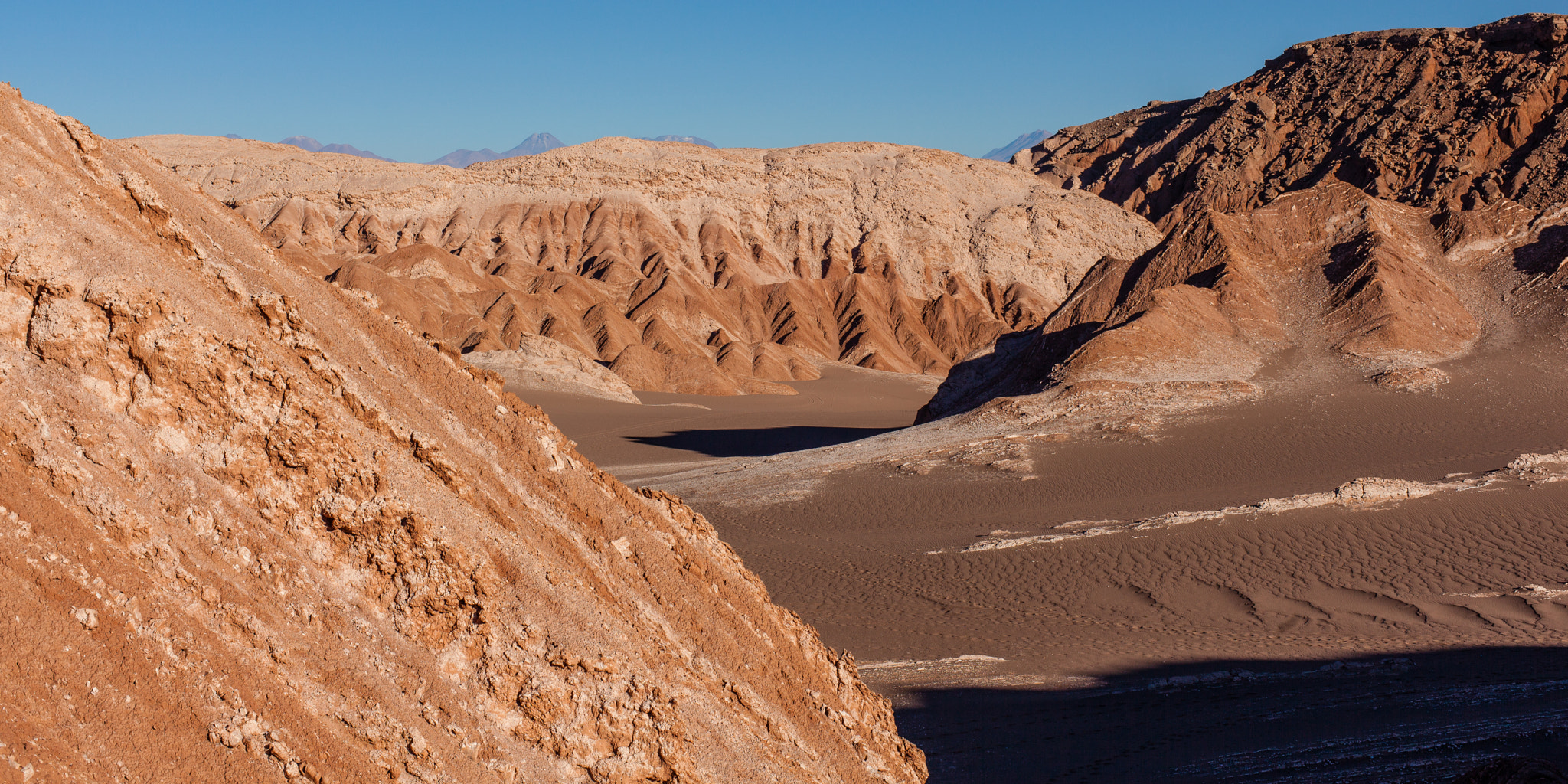 ZEISS Planar T* 50mm F1.4 sample photo. Desert photography