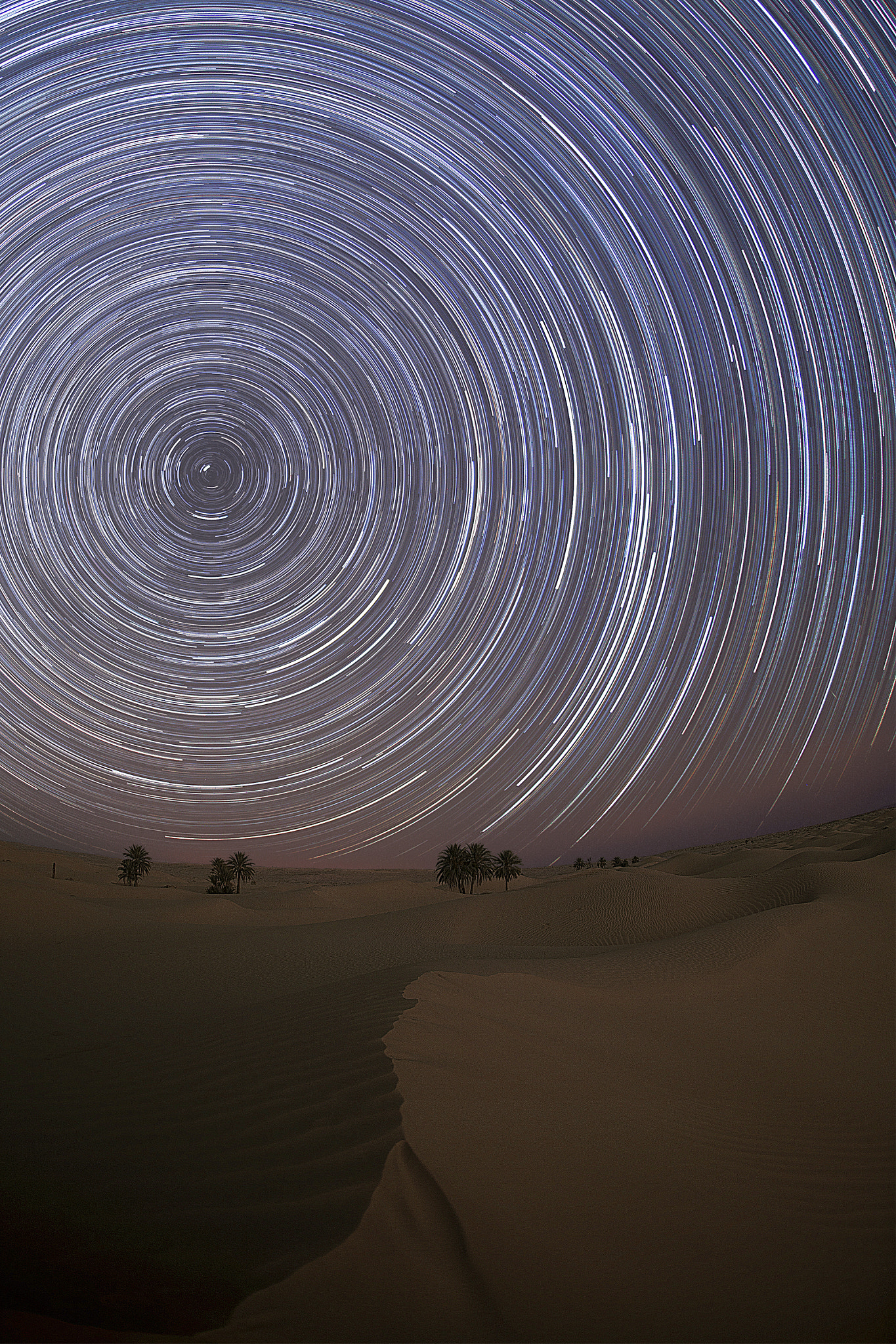 Canon EOS 5D Mark II + Sigma 15mm f/2.8 EX Fisheye sample photo. Startrails over dunes photography