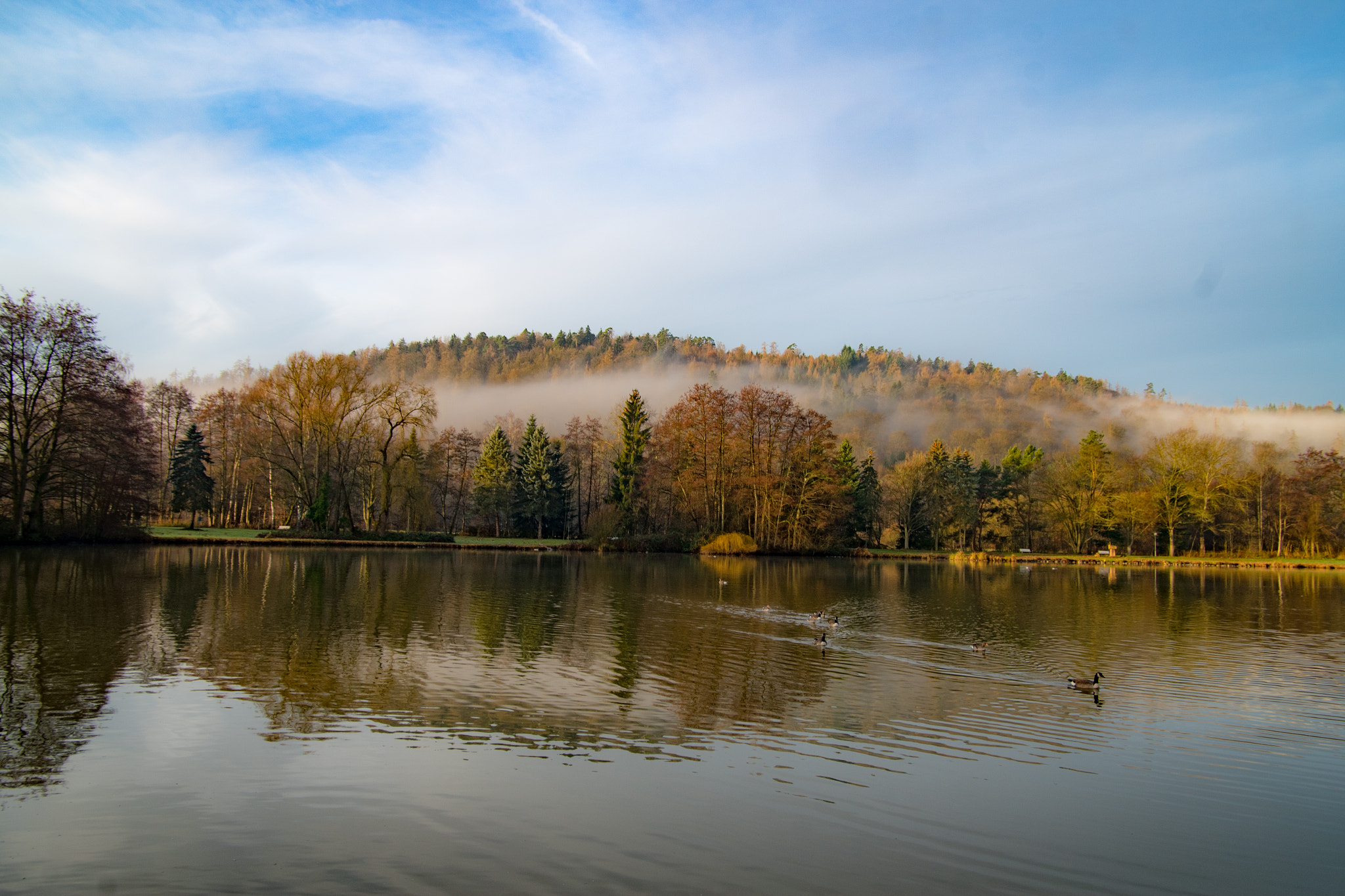 Pentax K-S1 sample photo. Newa7566.jpg photography