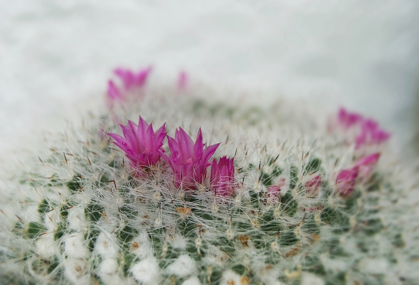 Sony DT 18-55mm F3.5-5.6 SAM sample photo. Hardware & software photography