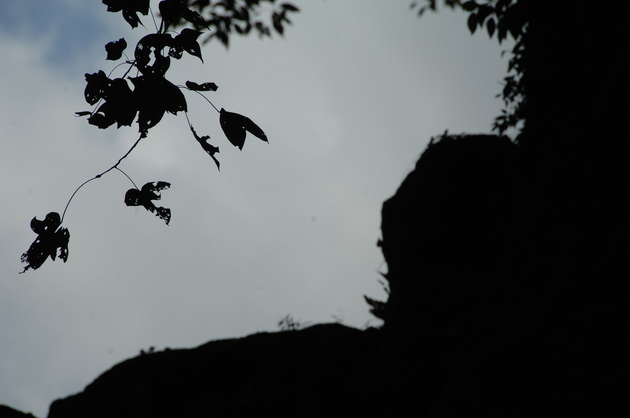 Nikon D2X sample photo. .. photography