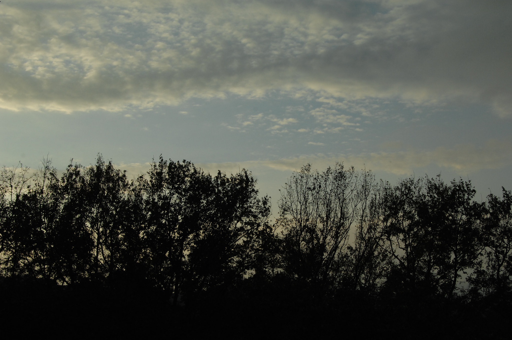 Nikon D2X sample photo. .. photography